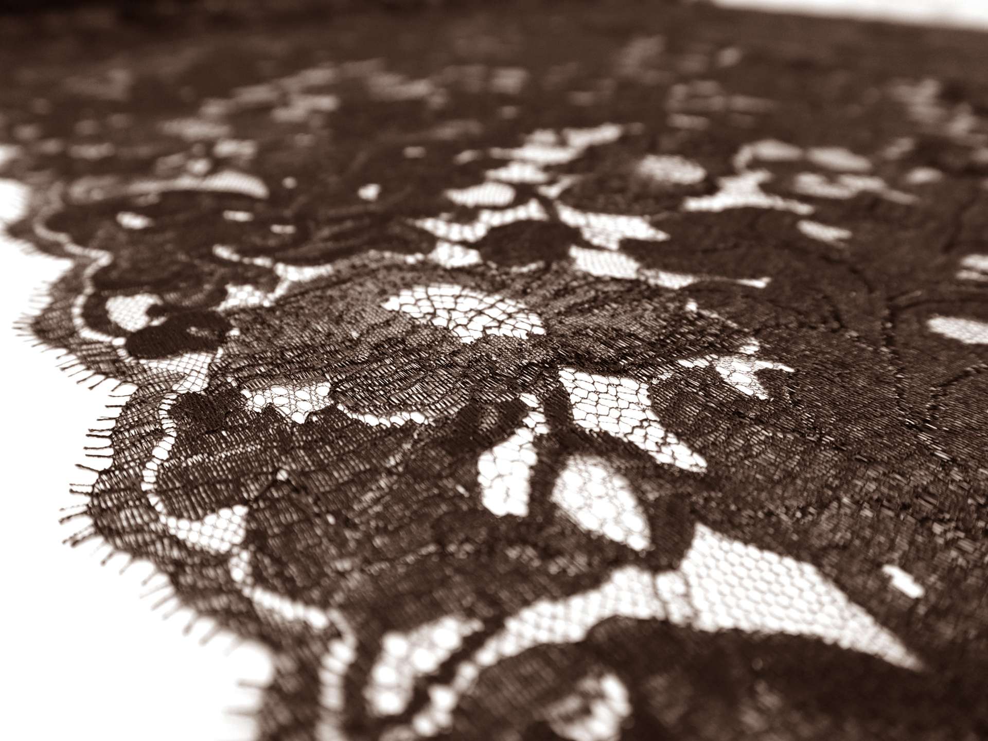 Metallic Chantilly Lace in Brown