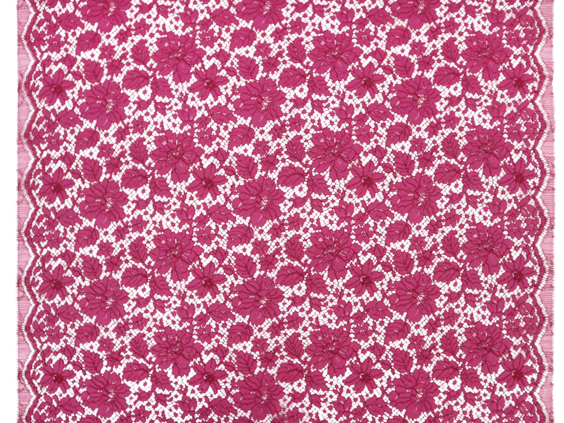 Corded Floral Chantilly Lace in Fuchsia