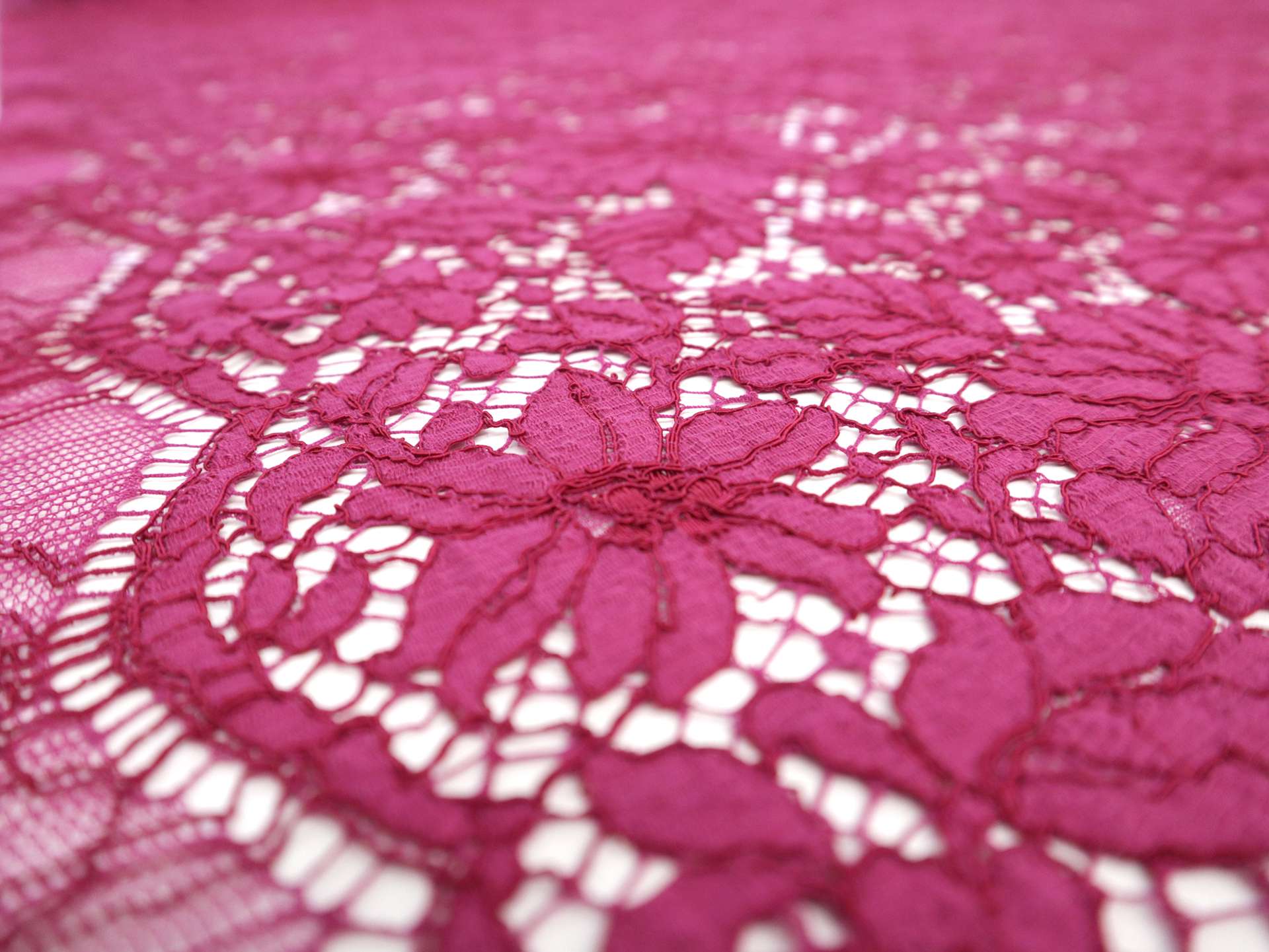 Corded Floral Chantilly Lace in Fuchsia
