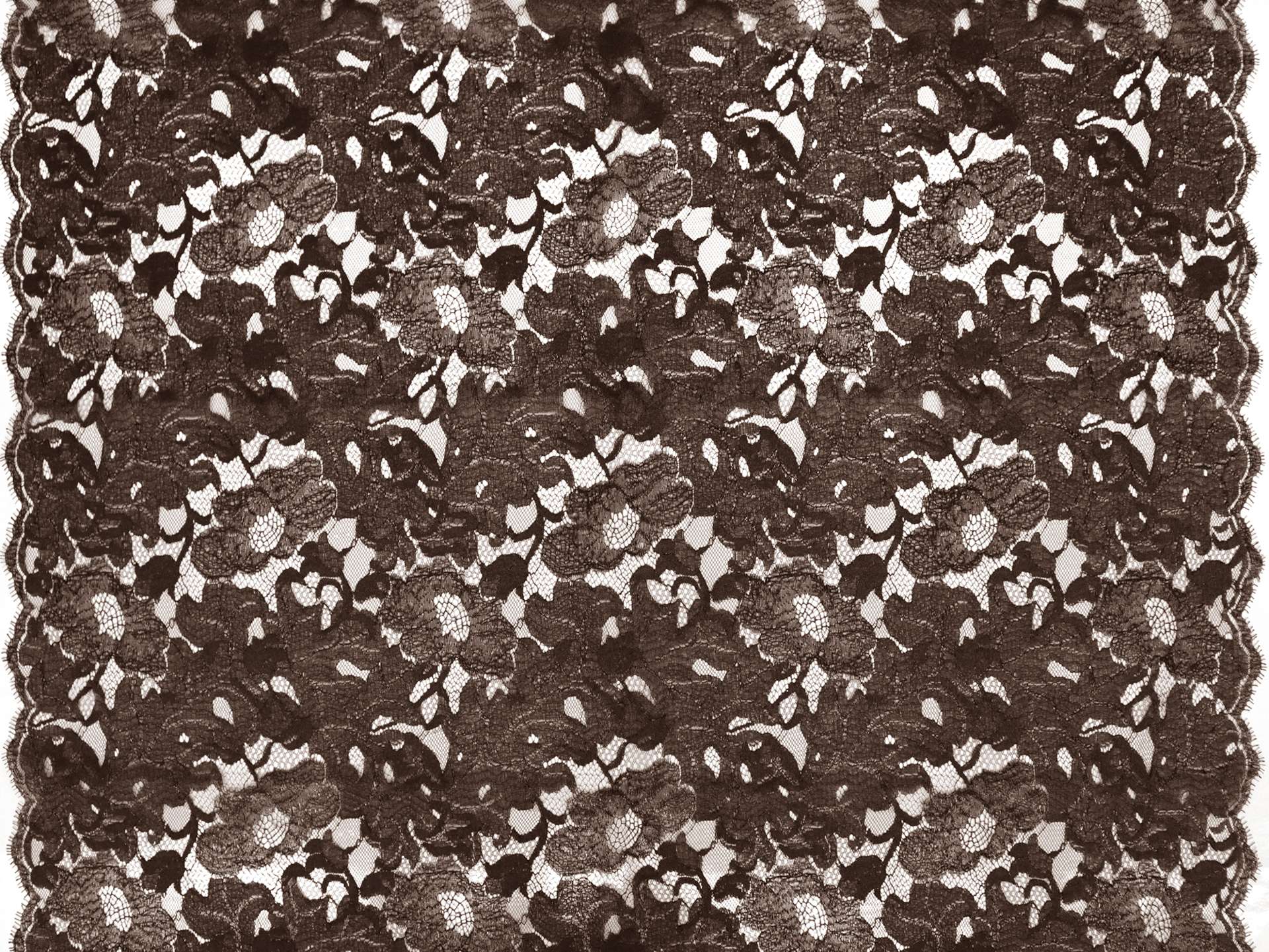 Metallic Chantilly Lace in Brown