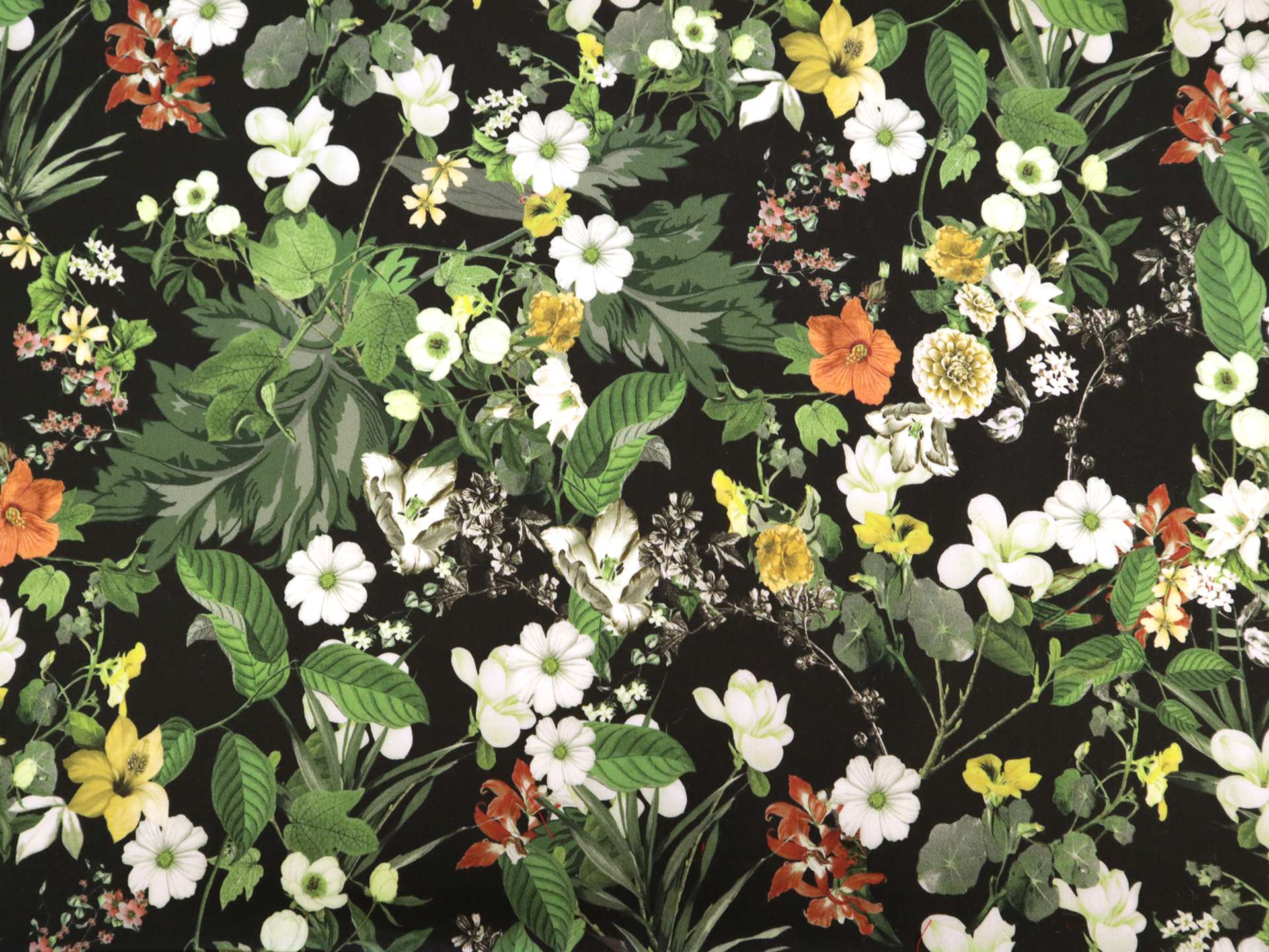 Cotton Sateen Lawn Floral Print