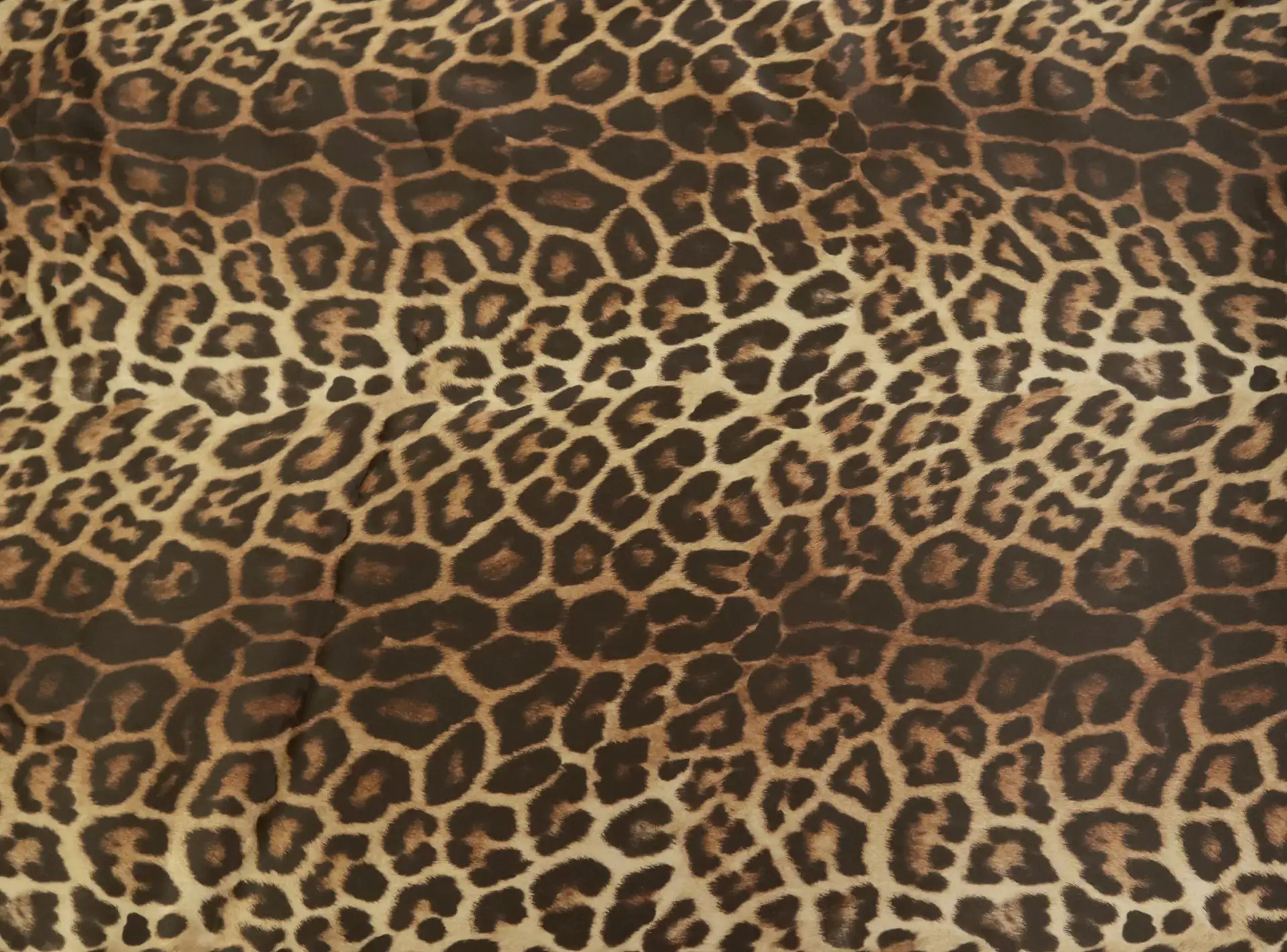 Printed Silk Organza with Animal Print