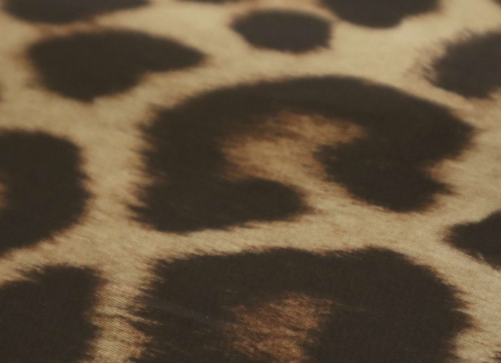 Printed Silk Organza with Animal Print