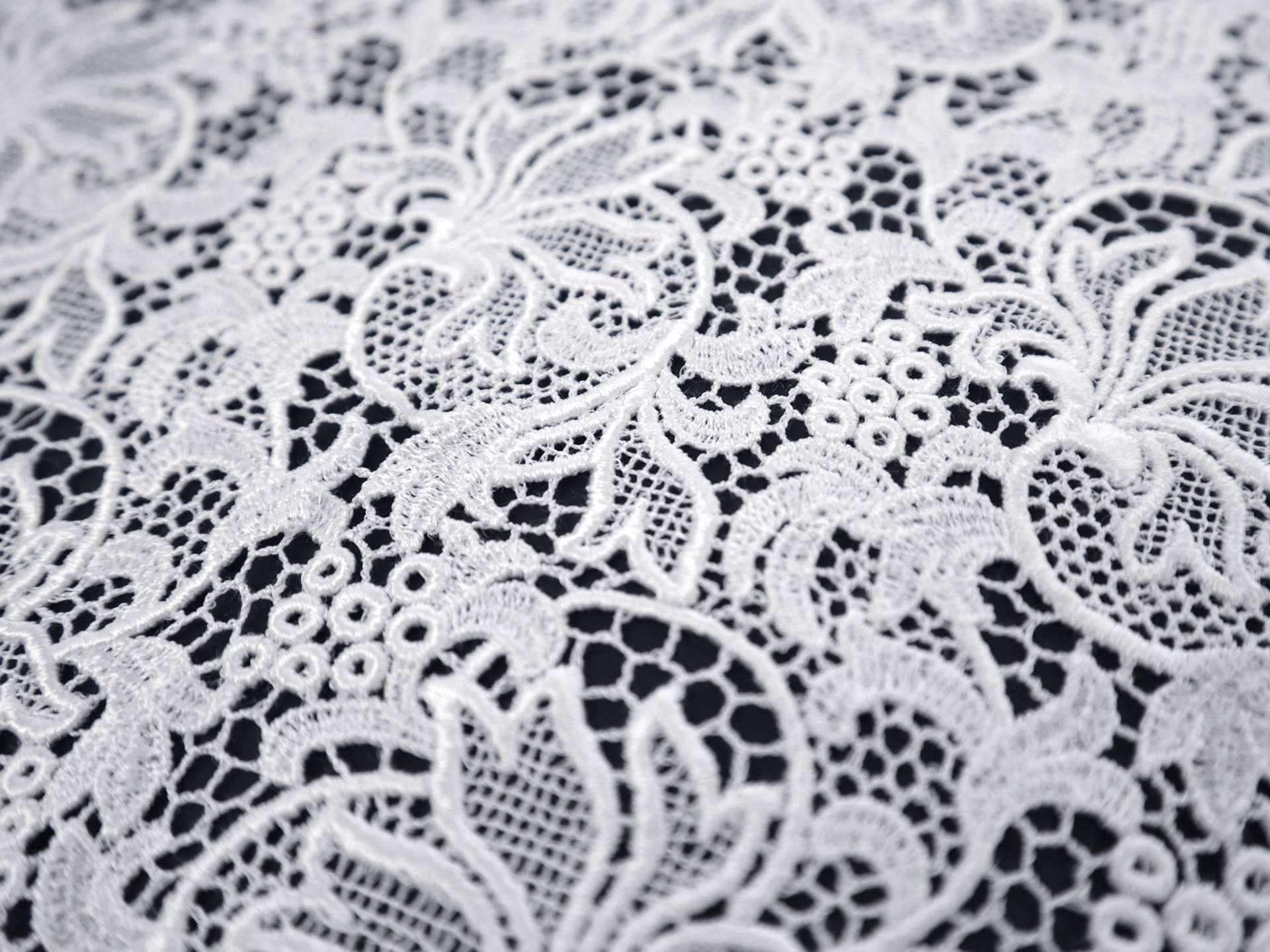 Gupiure Lace in White