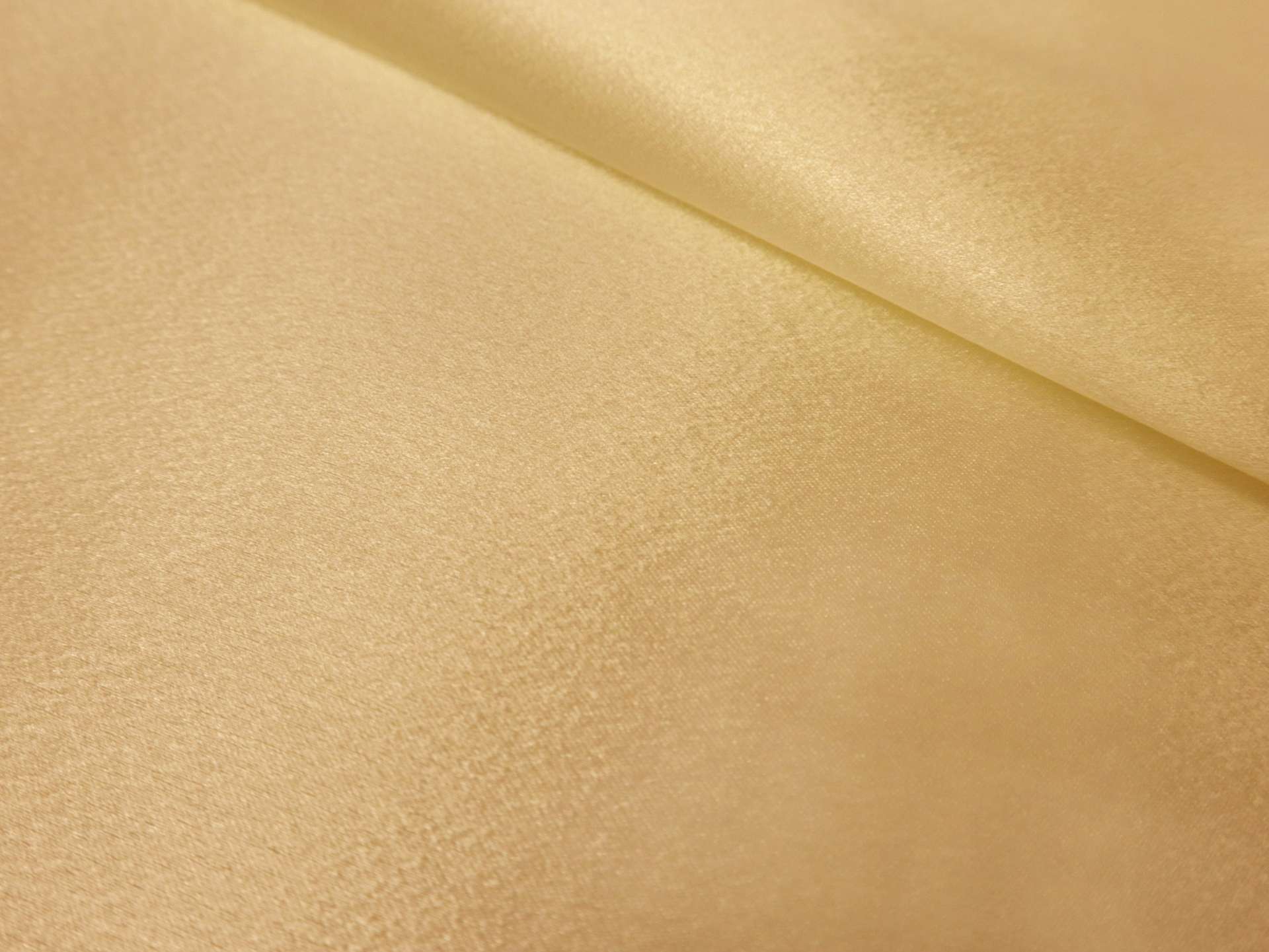 Polyester Crepe Back Satin in Champagne 