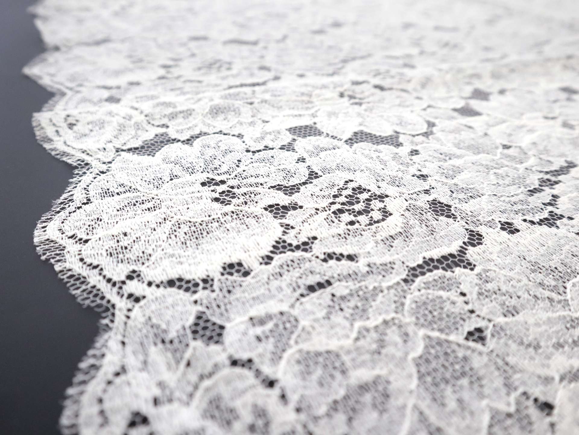 Floral Chantilly Lace in Ecru