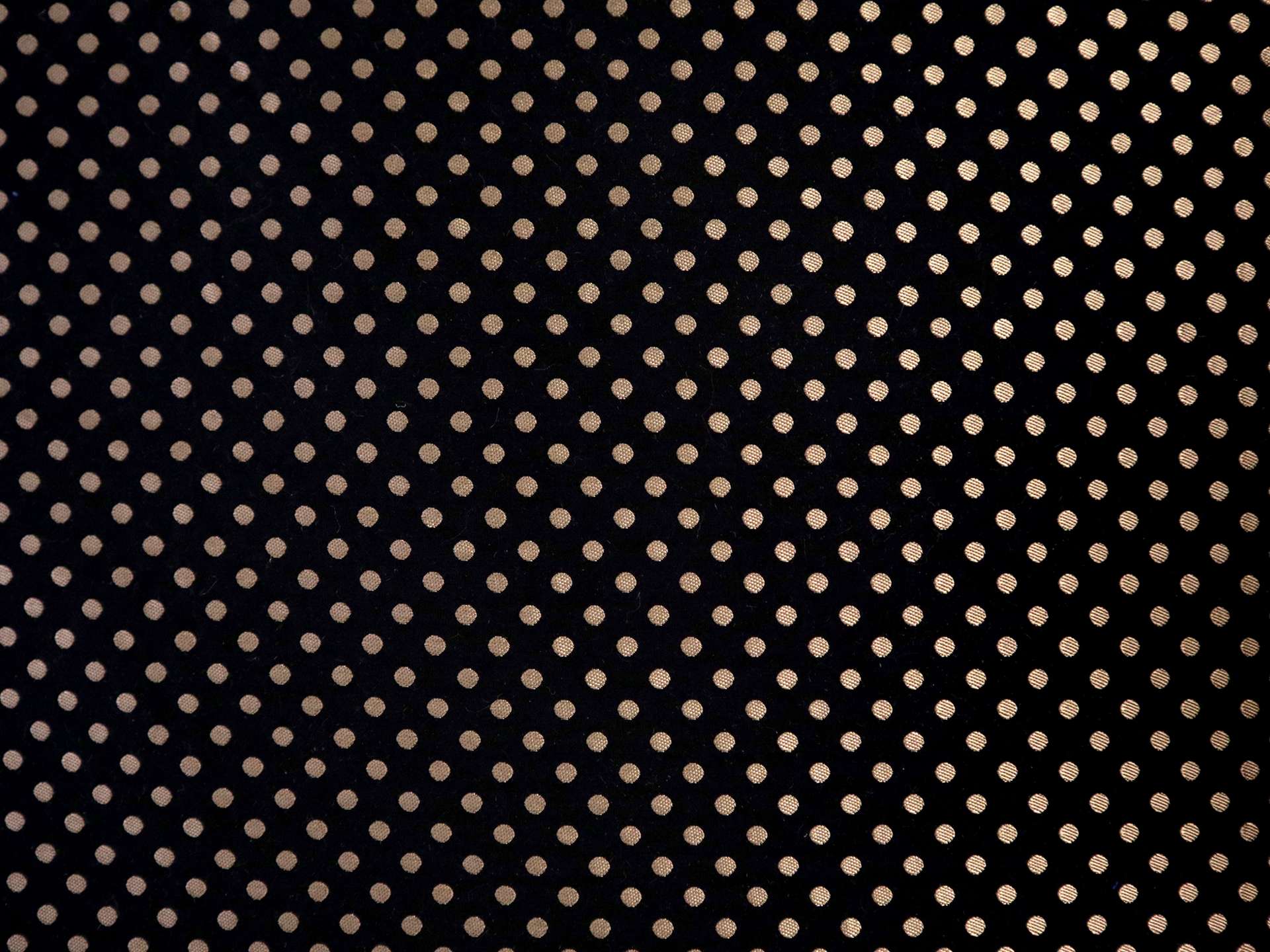 Polka Dot Brocade in Black & Taupe