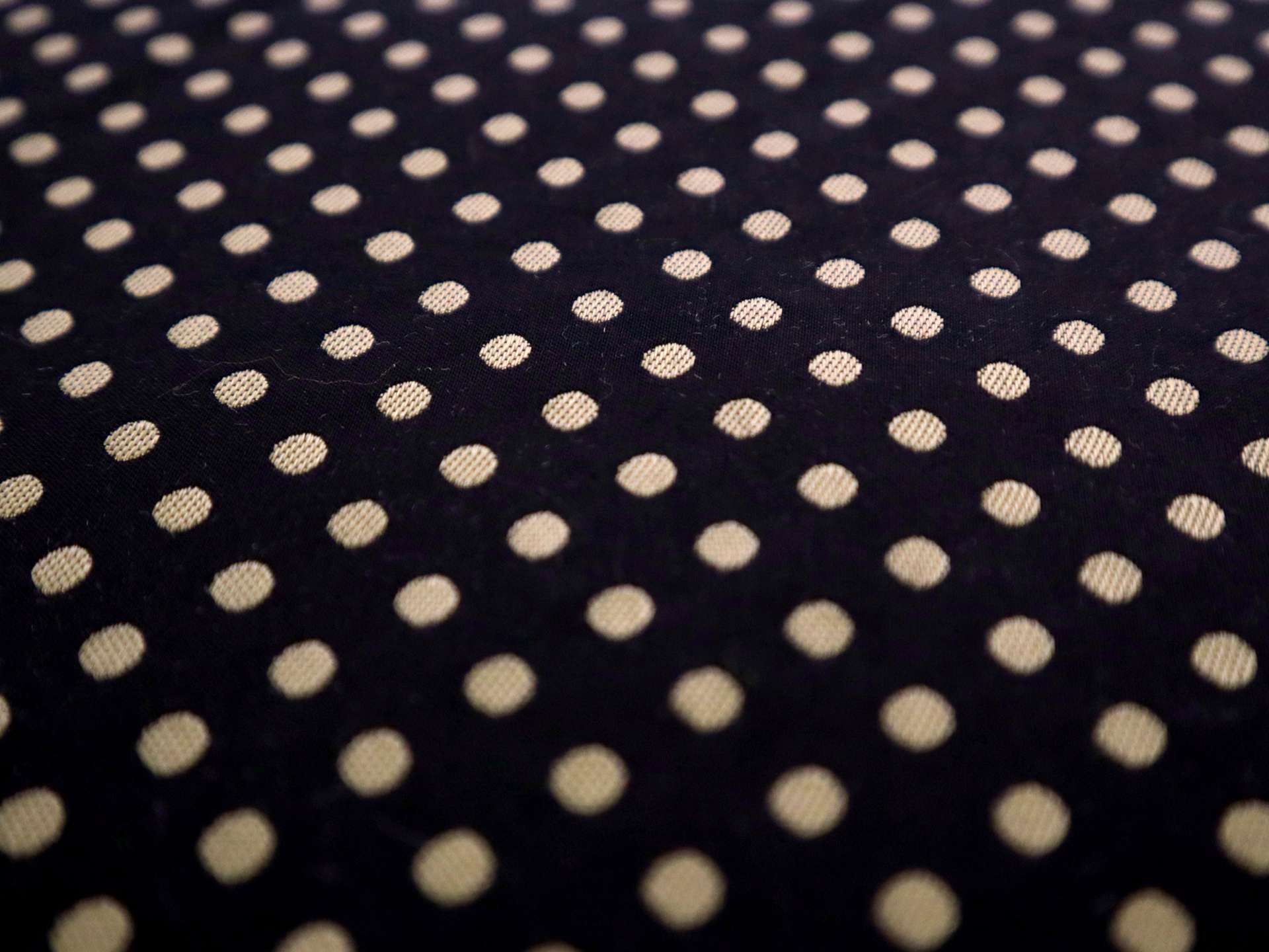 Polka Dot Brocade in Black & Taupe