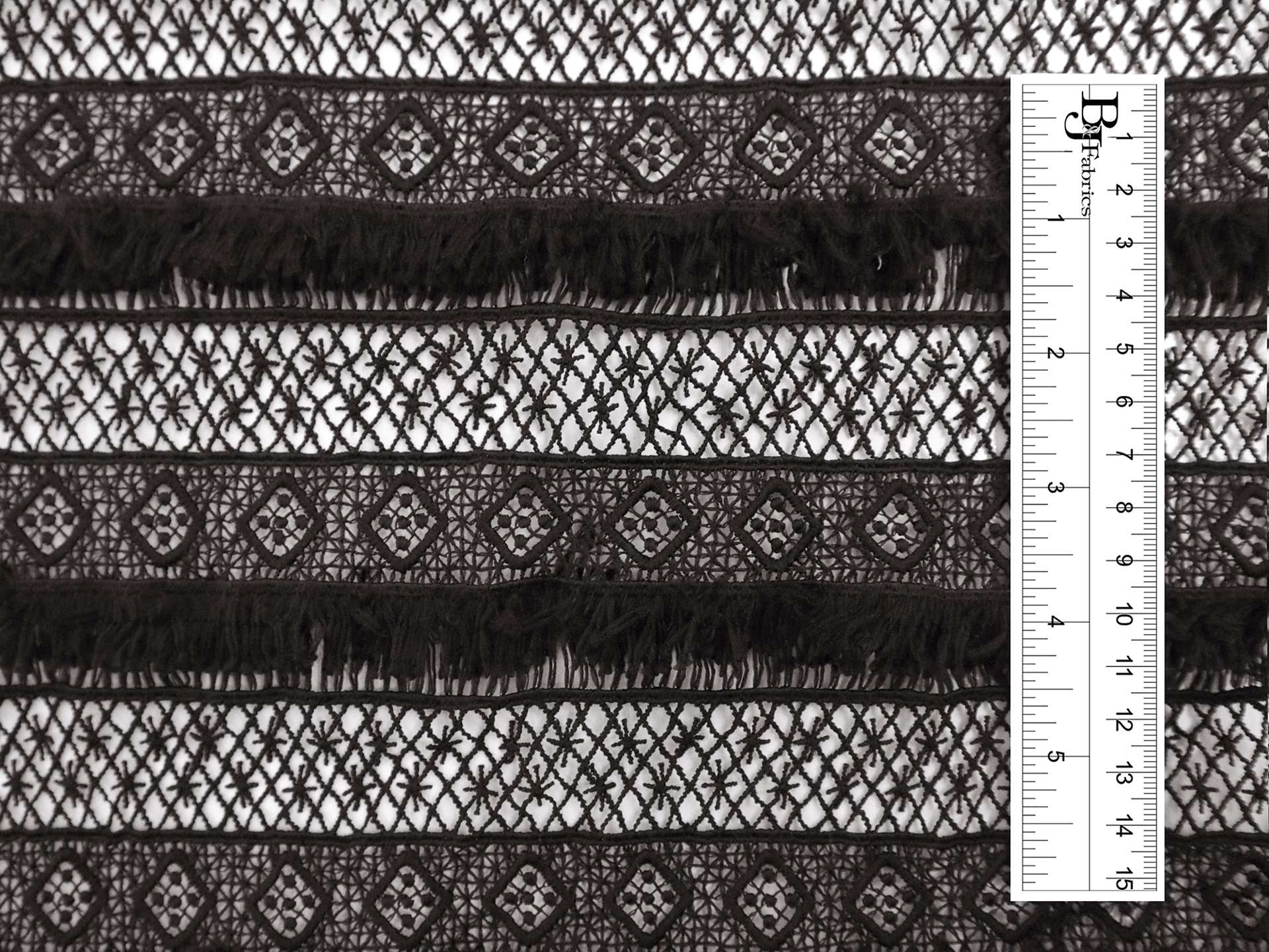 Black Guipure Lace with Fringe