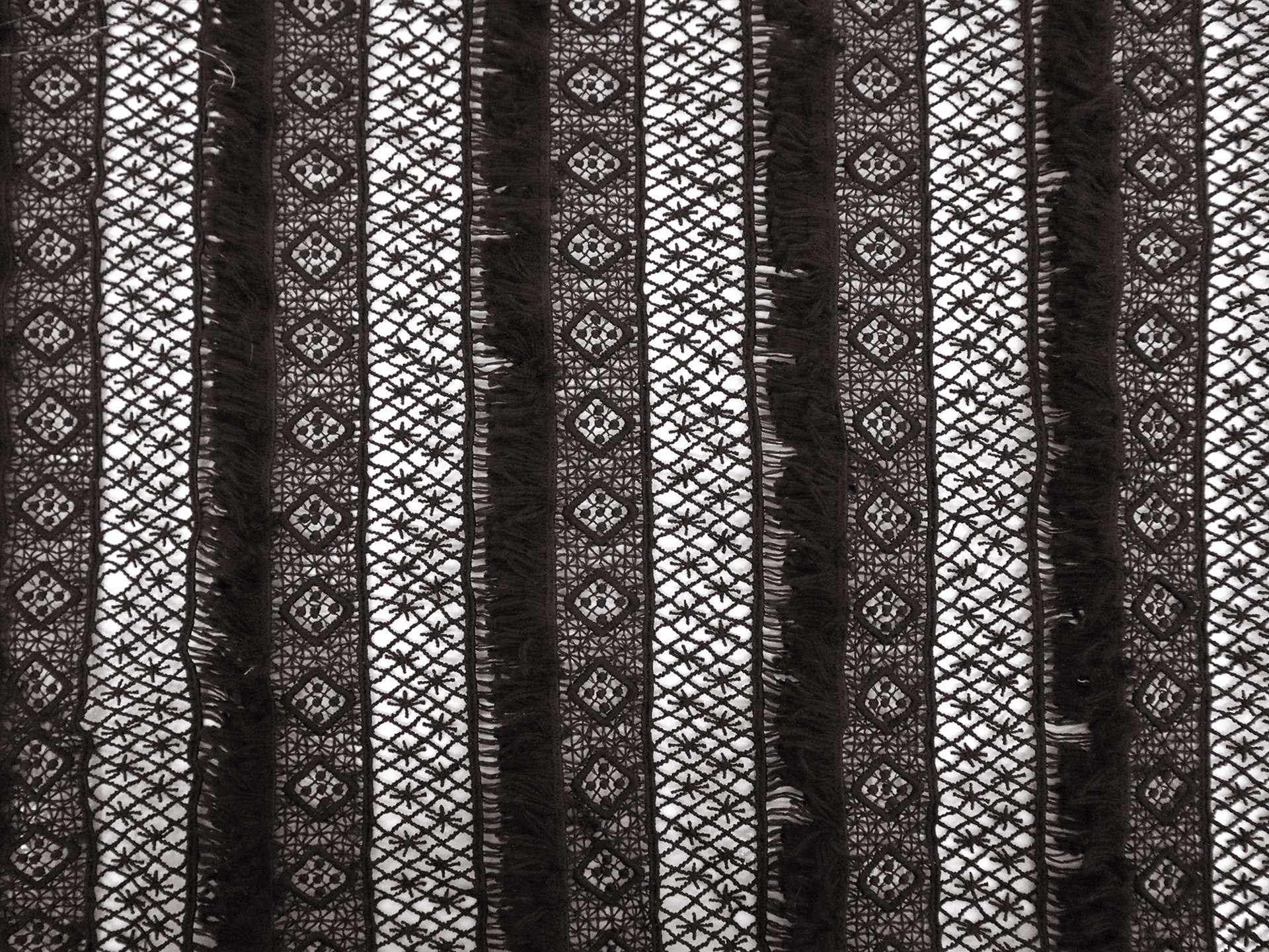 Black Guipure Lace with Fringe