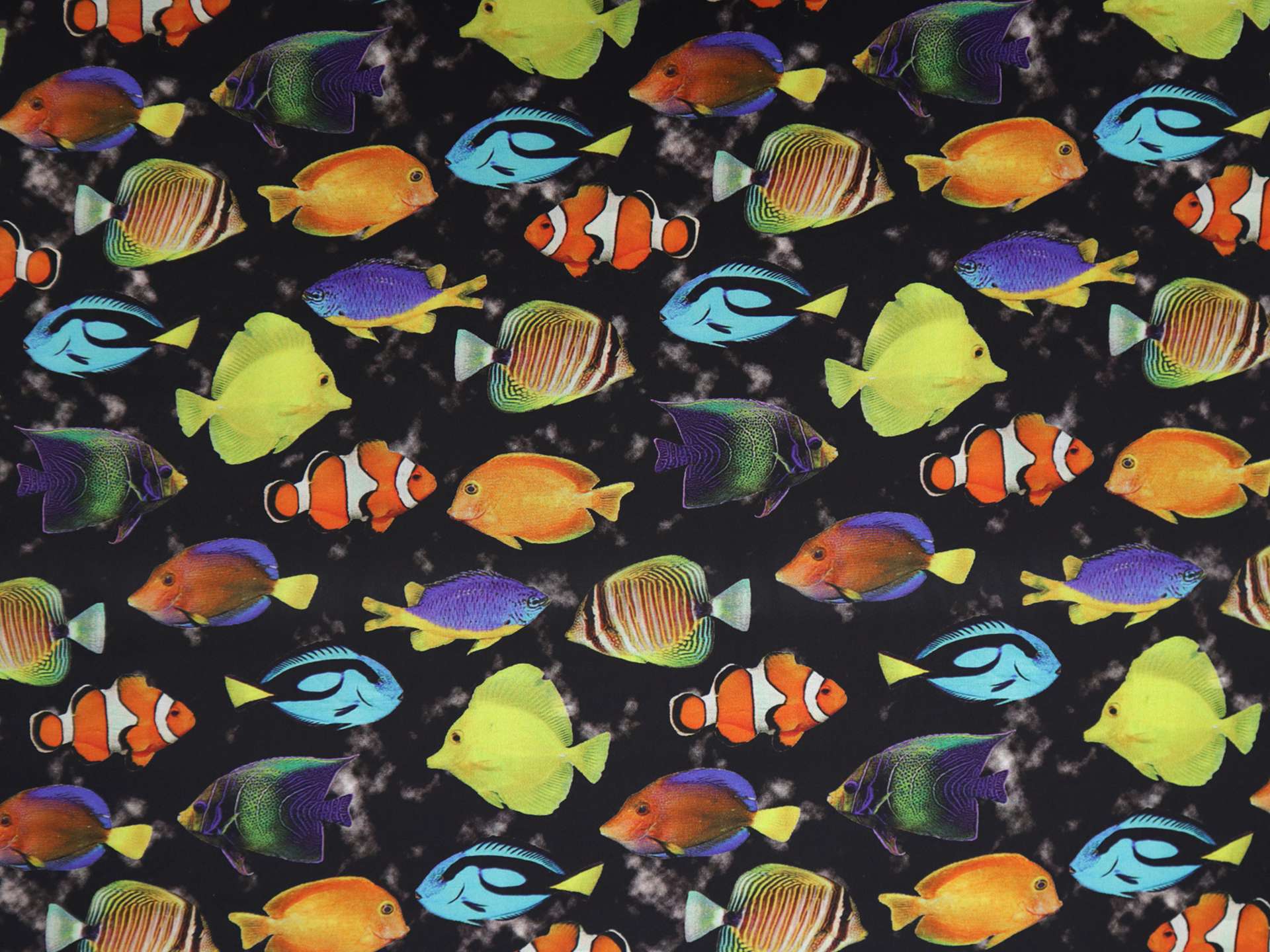 Cotton Broadcloth Digital Print with Fish School