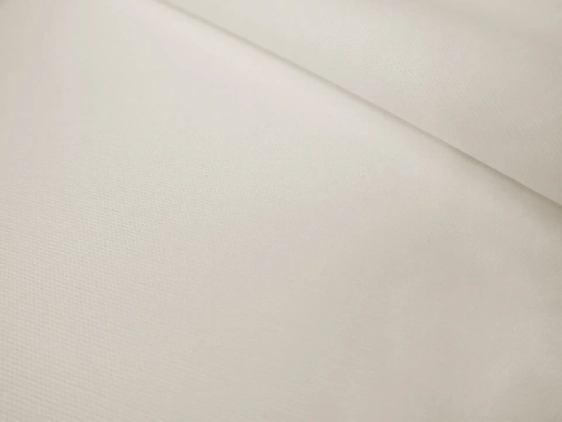 Washed Cotton Canvas in White