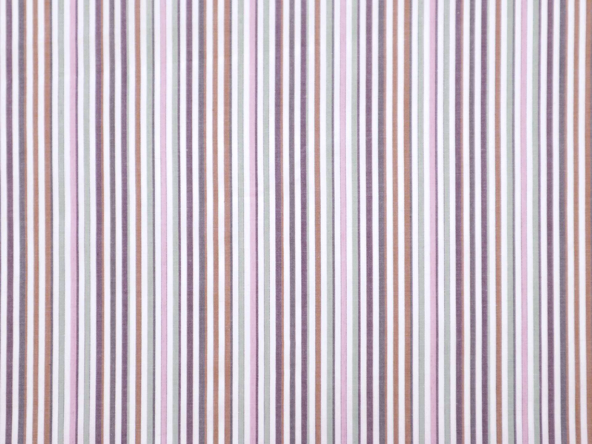 Cotton Woven Multitrack Stripes in Multi