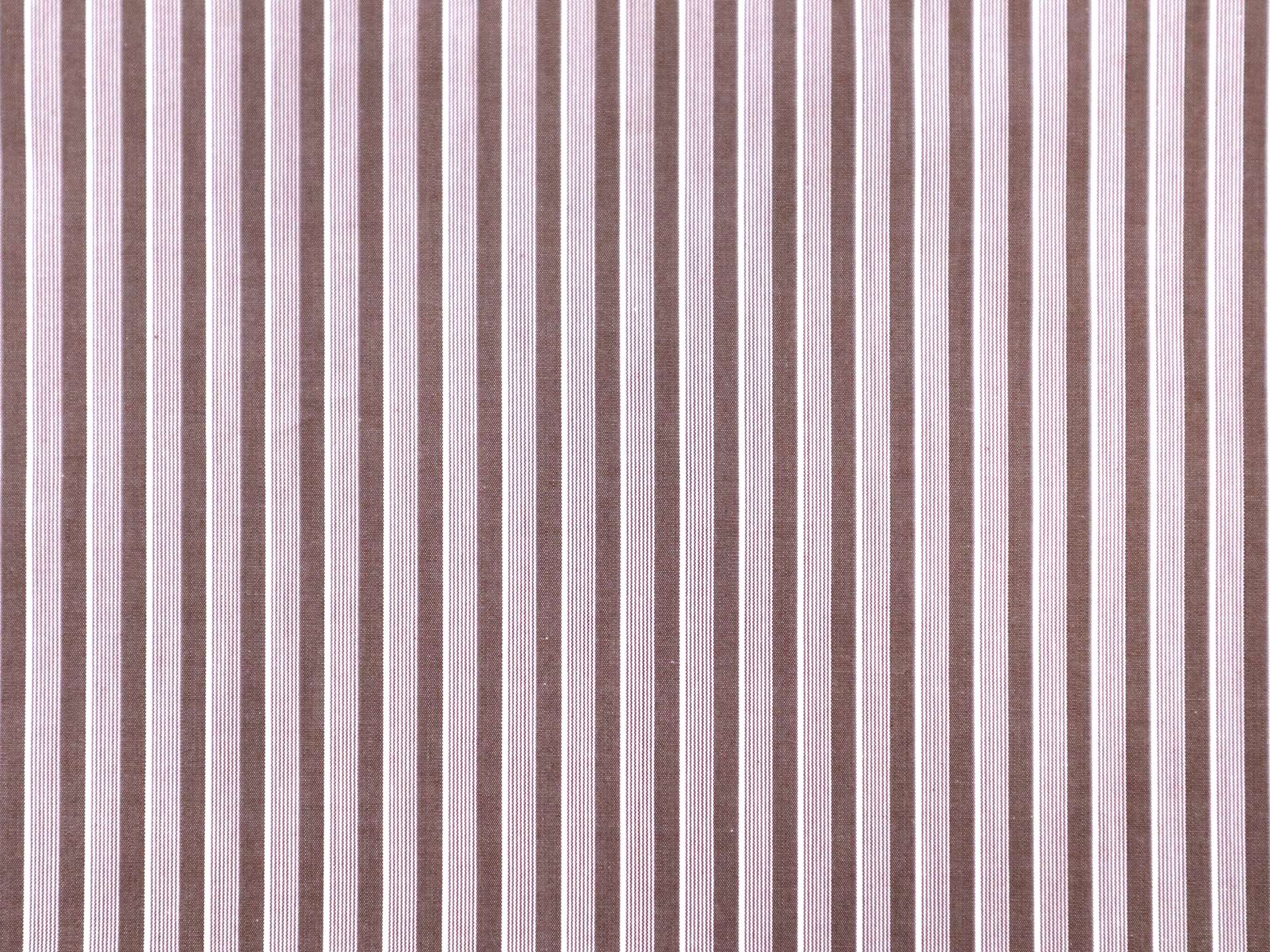 Cotton Woven Multitrack Stripe in Oxblood