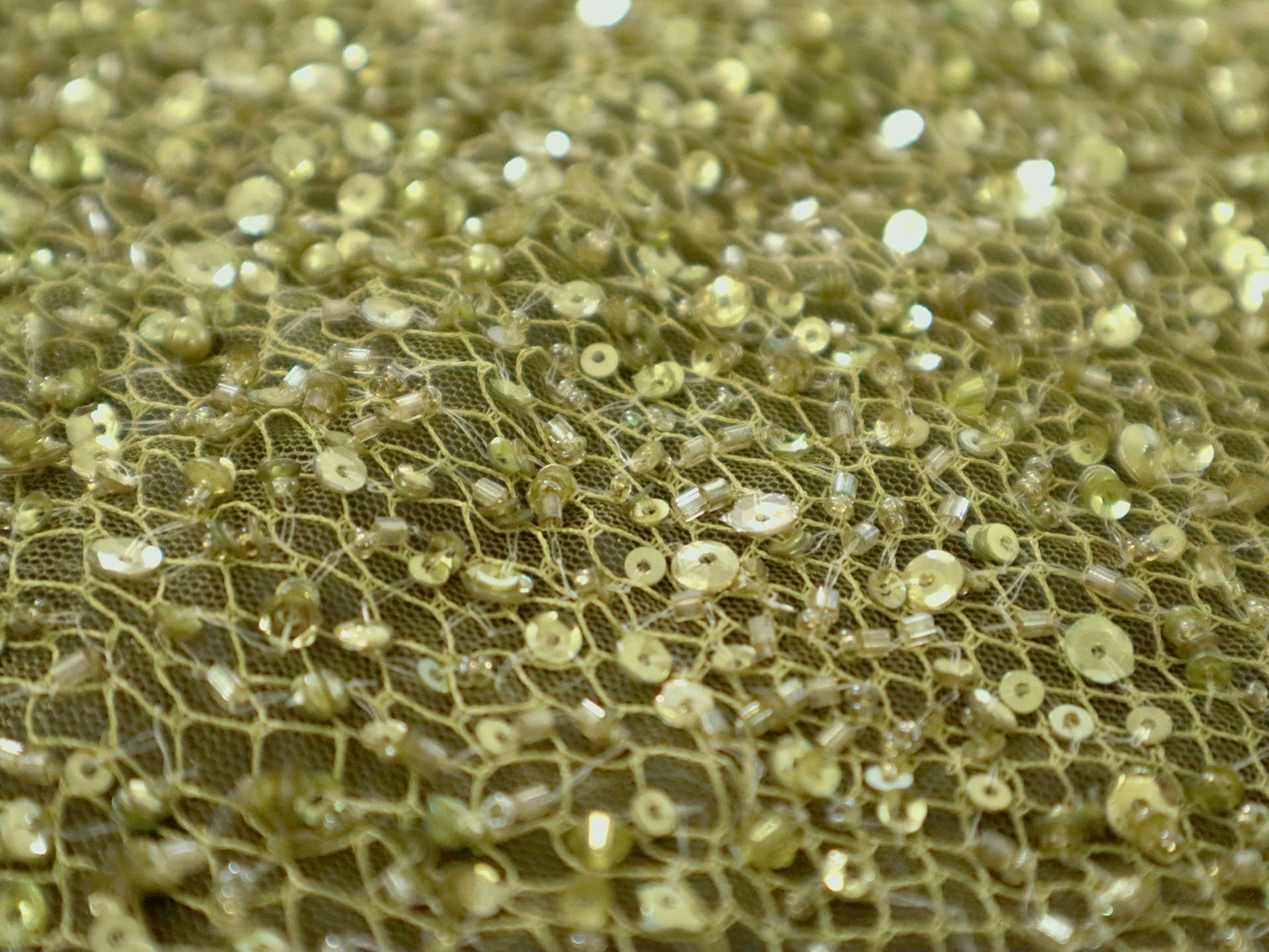 Heavy Beaded Tulle in Green