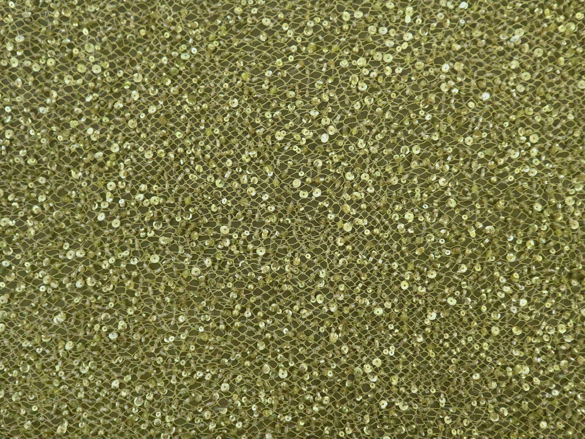 Heavy Beaded Tulle in Green