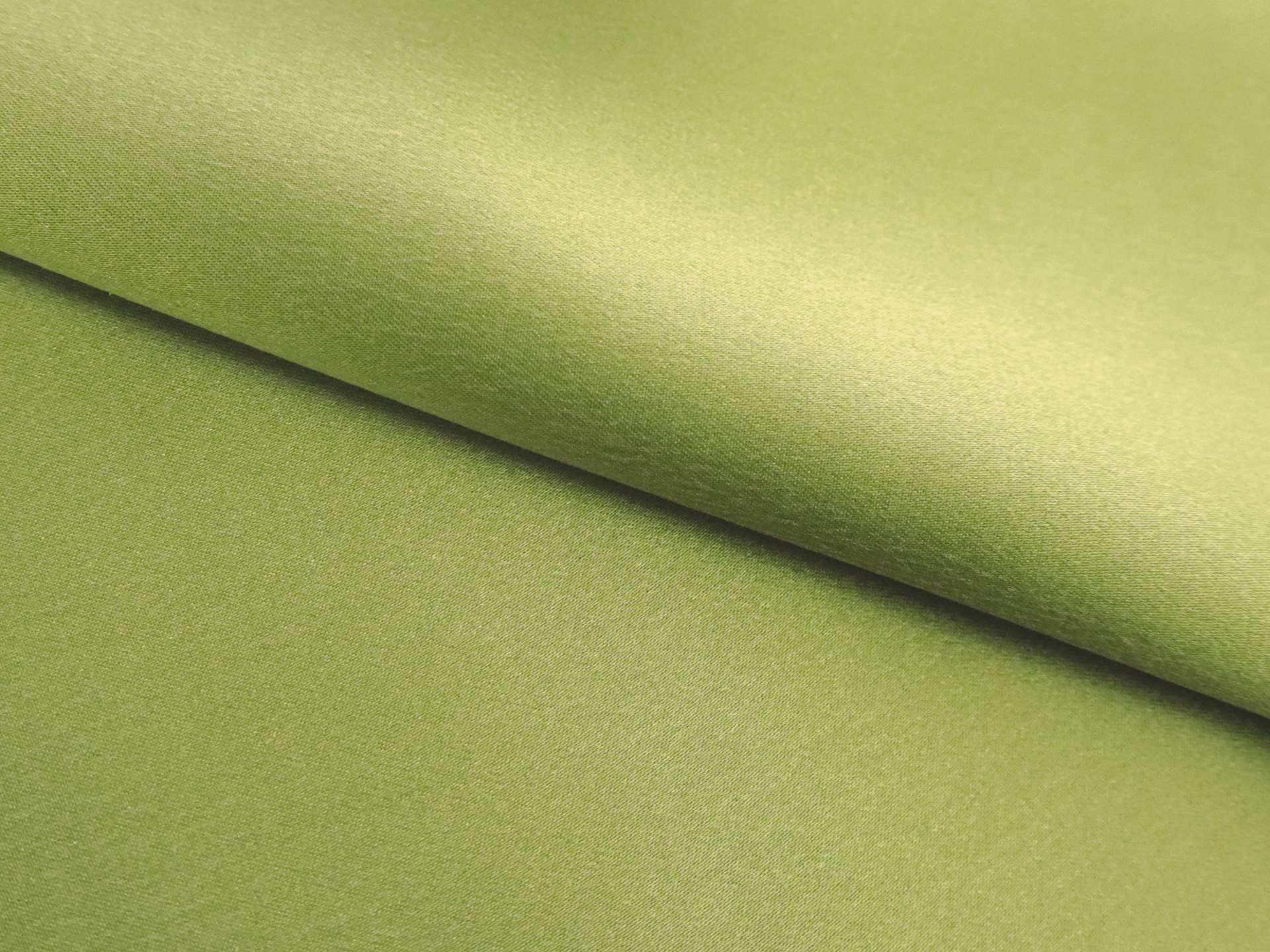 Sueded Silk Charmeuse in Moss