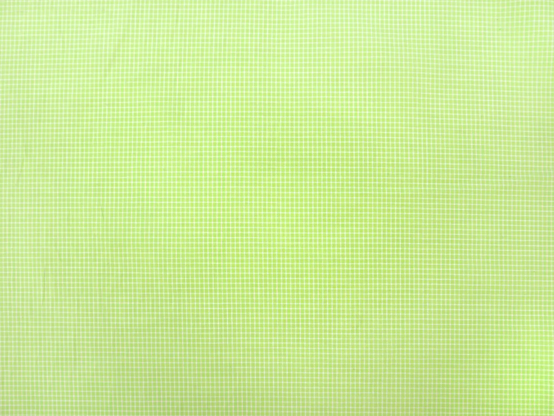Cotton Petite Check Shirting in Neon Green