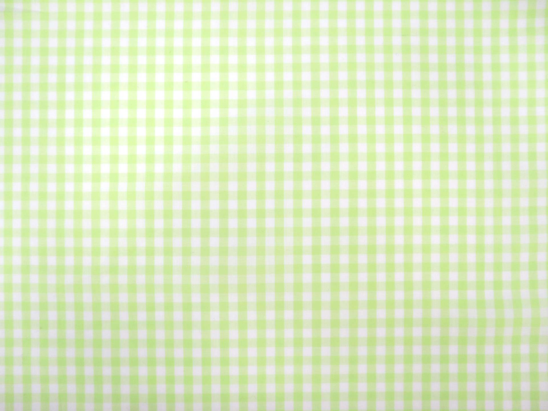 1/4" Cotton Gingham in Lime