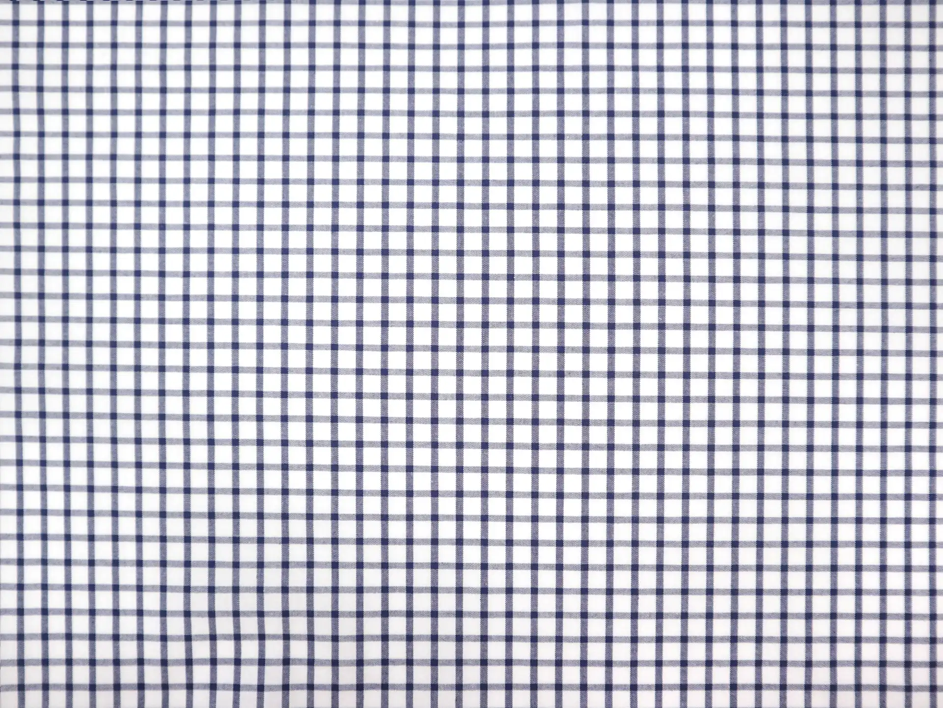 Cotton Check Shirting in Navy & White
