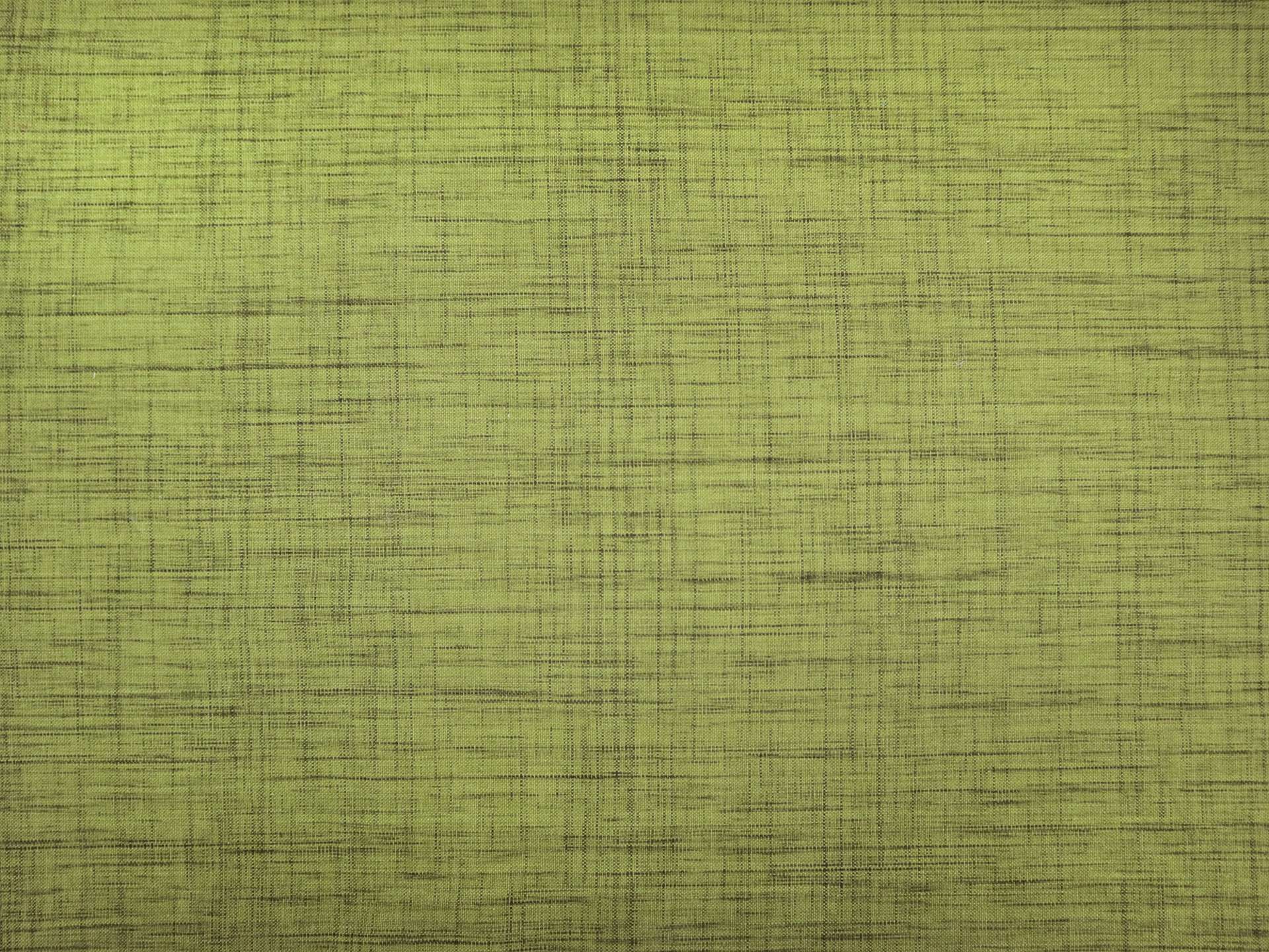 Yarn Dyed Cotton Novelty in Avocado