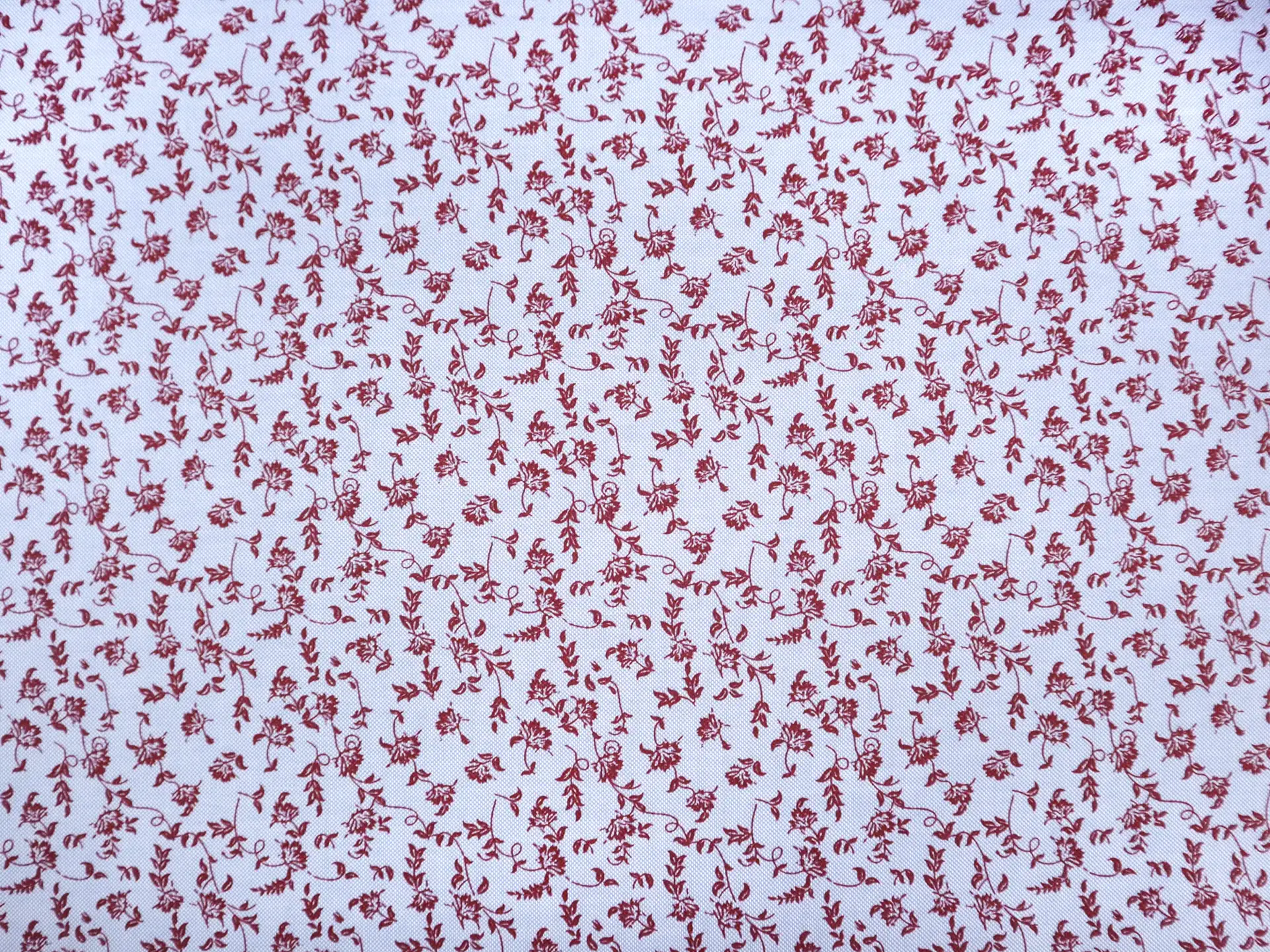 Cotton Oxford Floral Print in Wine