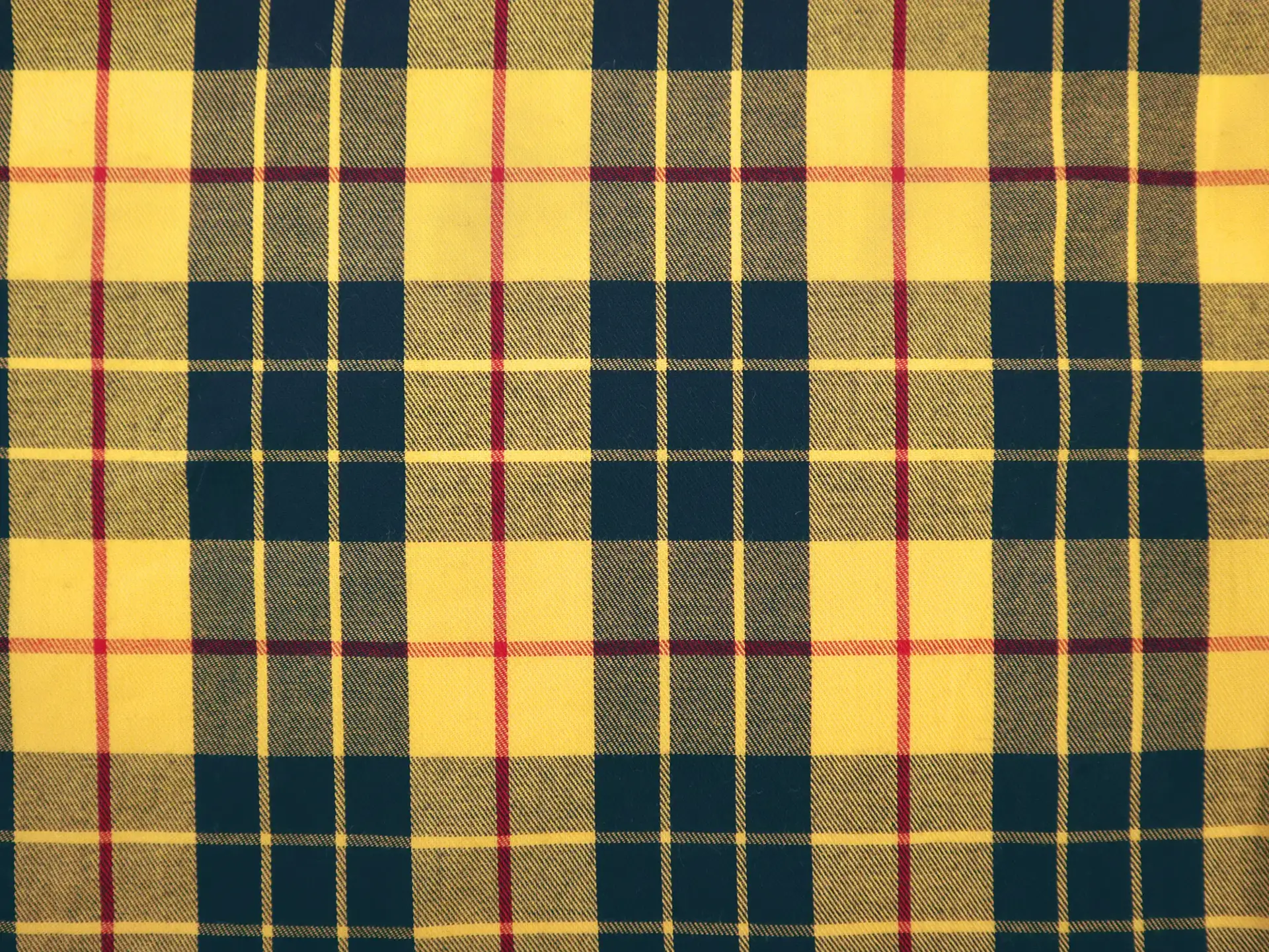 Cotton Plaid Twill in Yellow