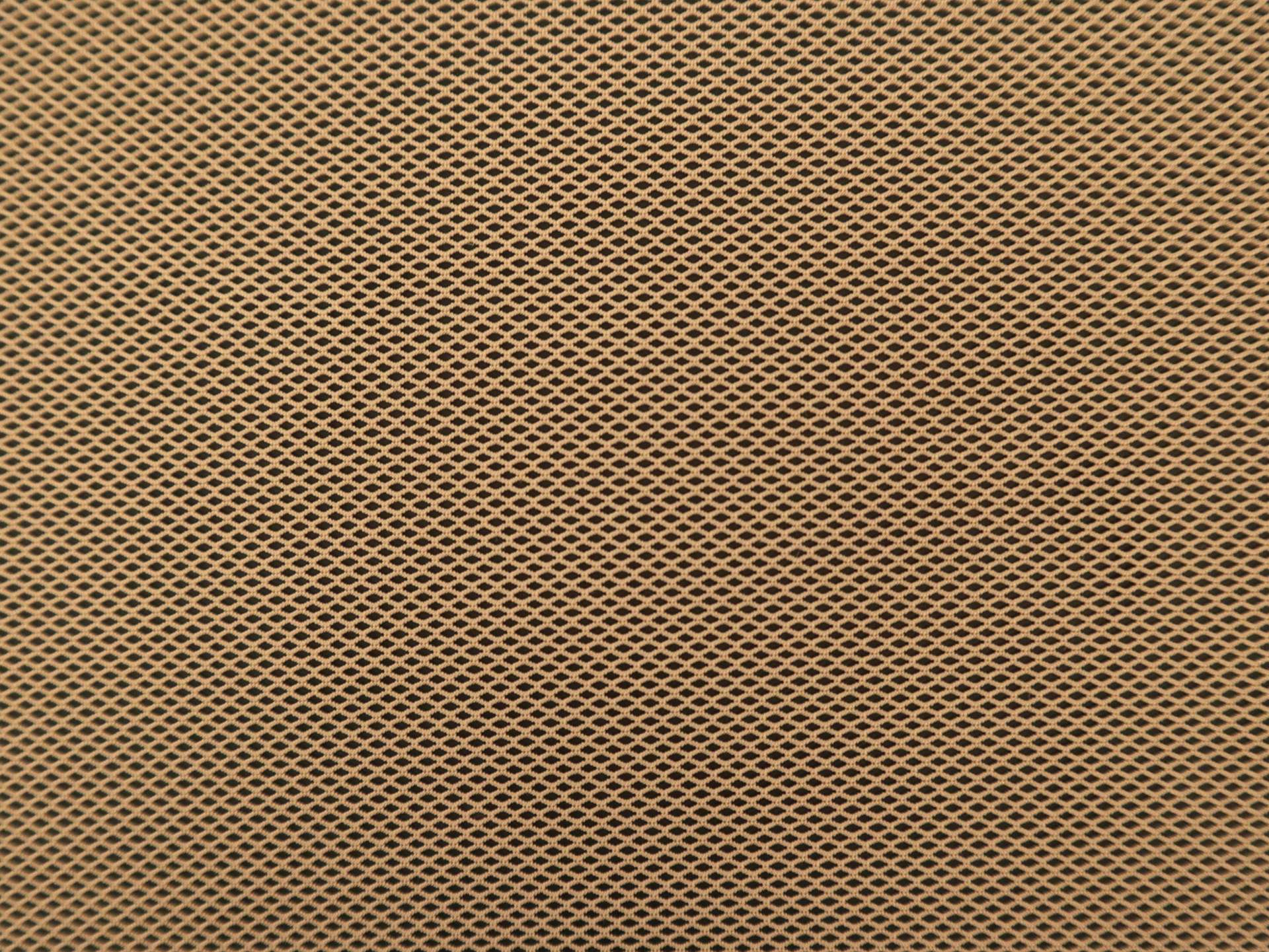 Nylon Stretch Mesh in Tan