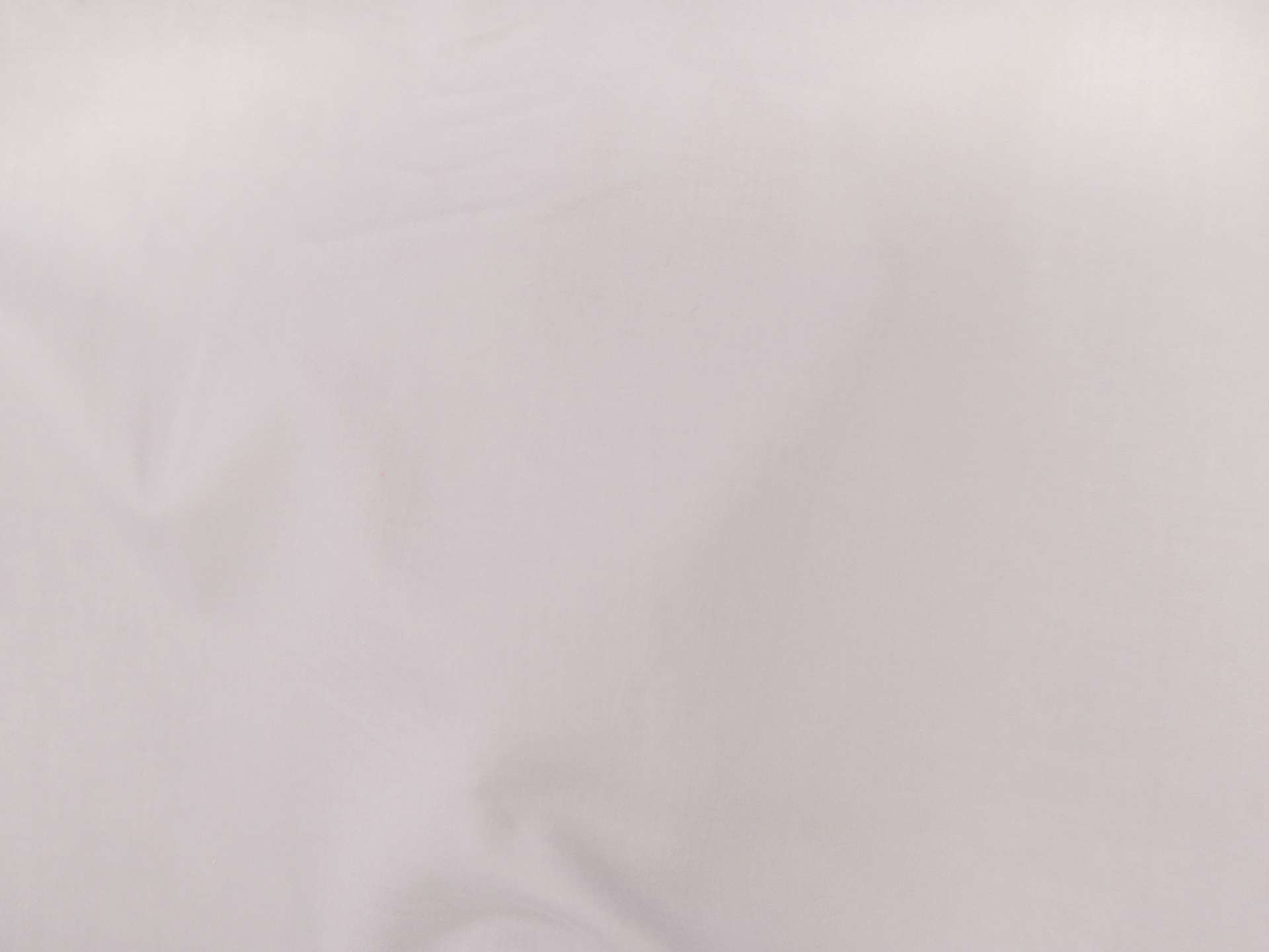 Cotton Batiste in Silver