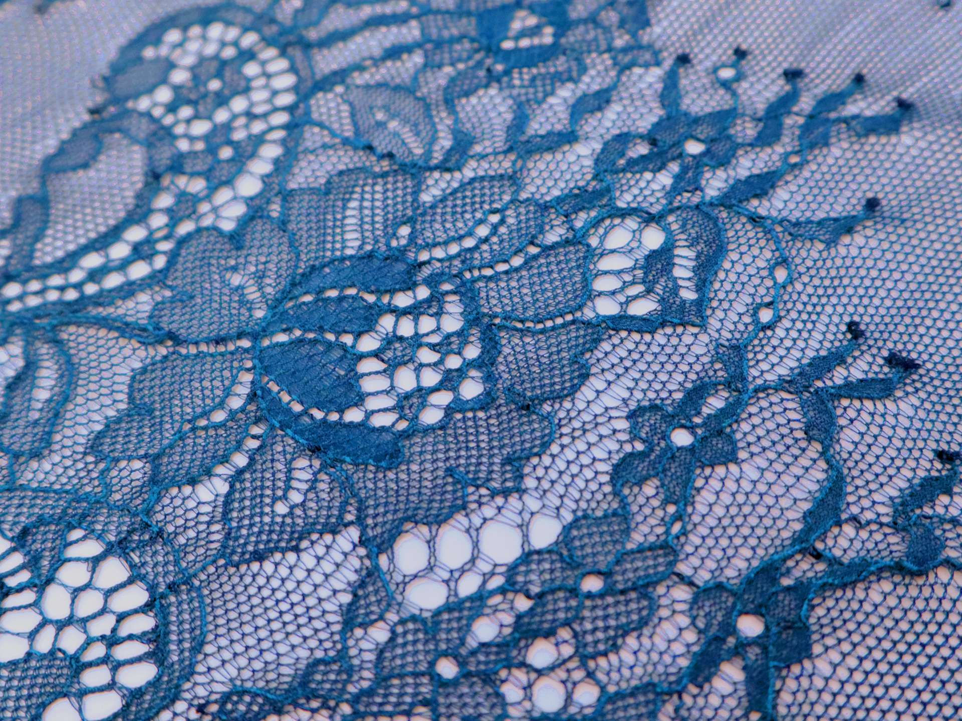 Chantilly Lace with Floral Filigrees in Cornflower