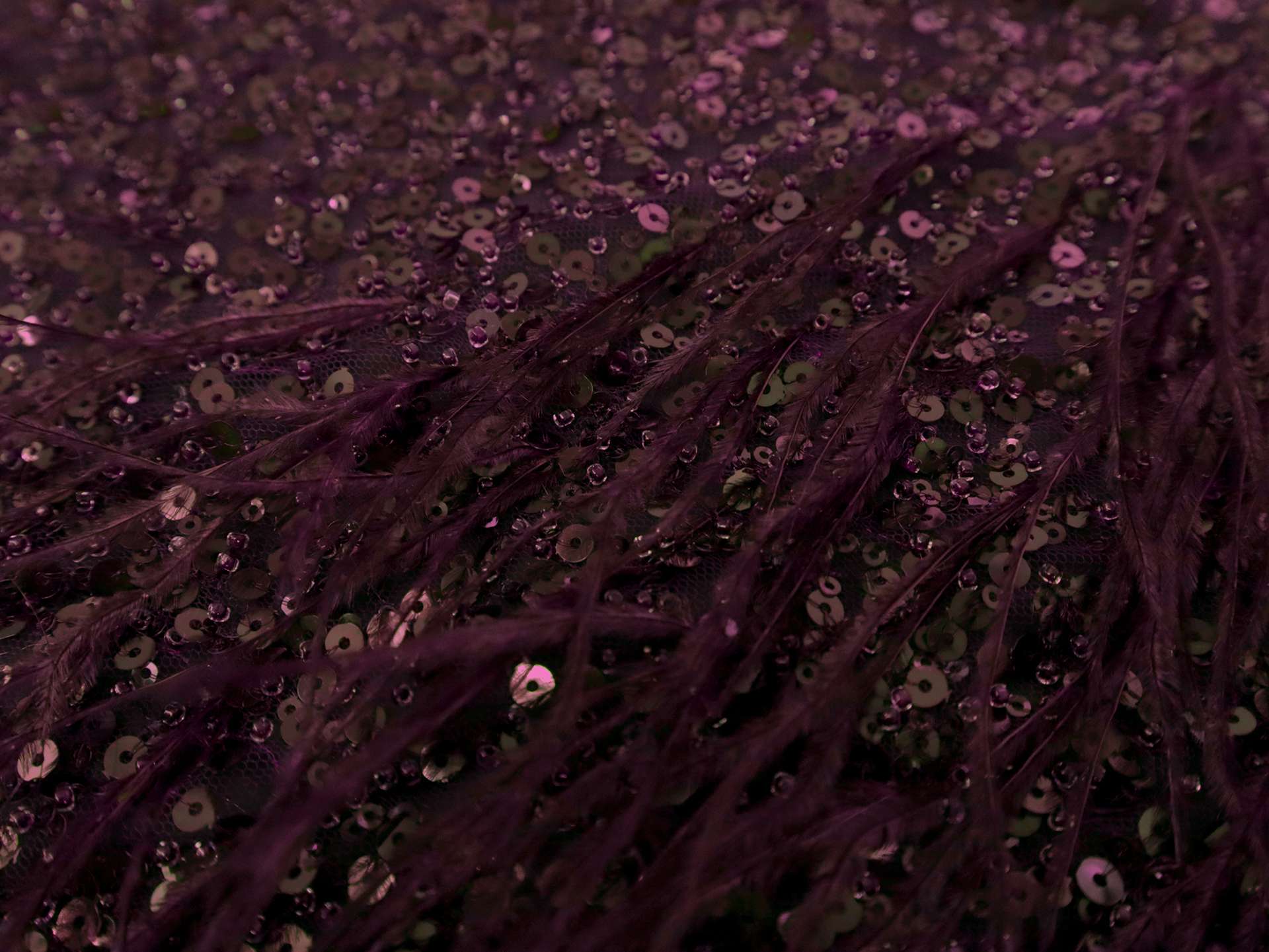 Feathers on Beaded Tulle in Plum