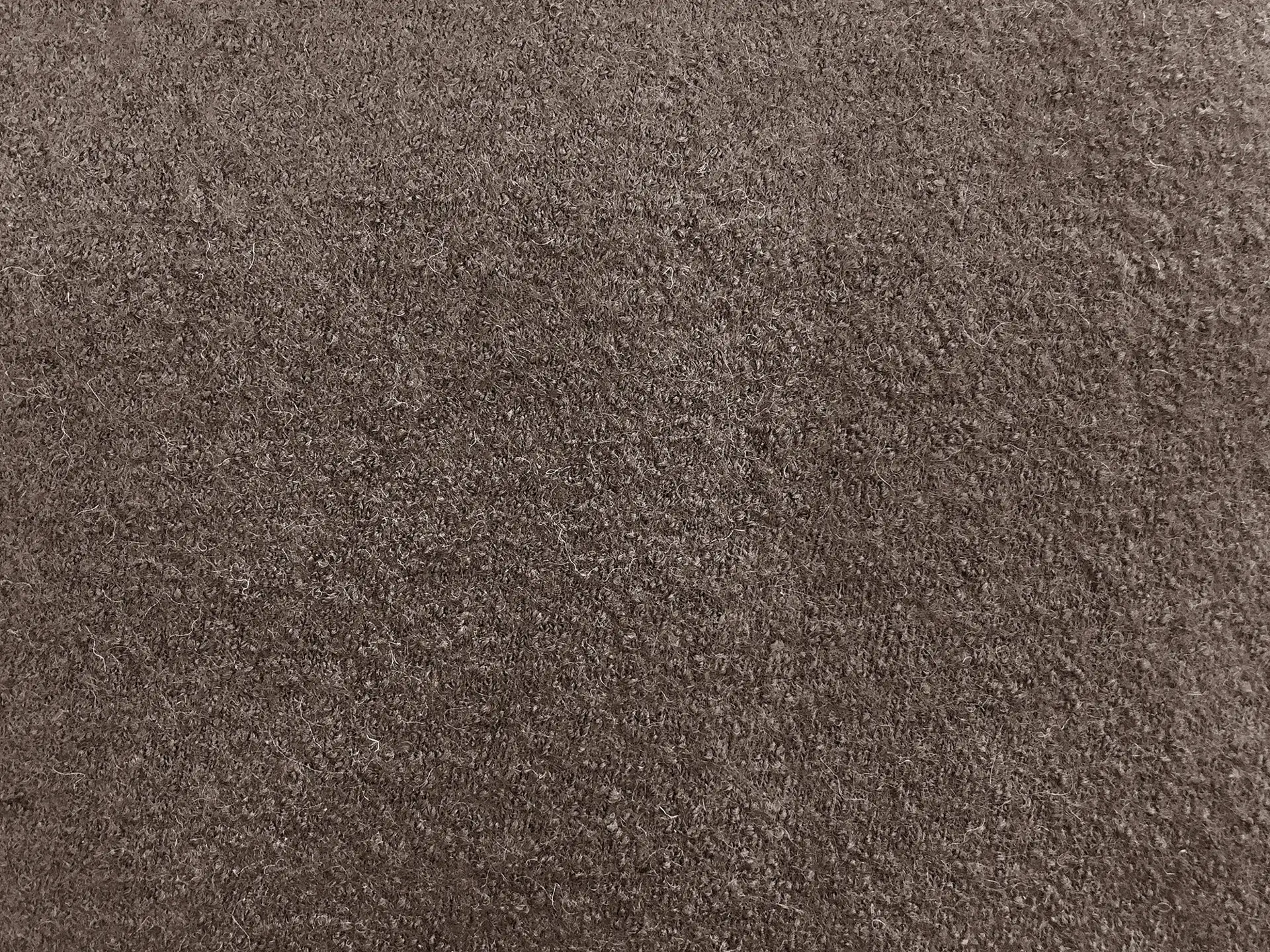 Boiled Wool Blend Knit in Taupe