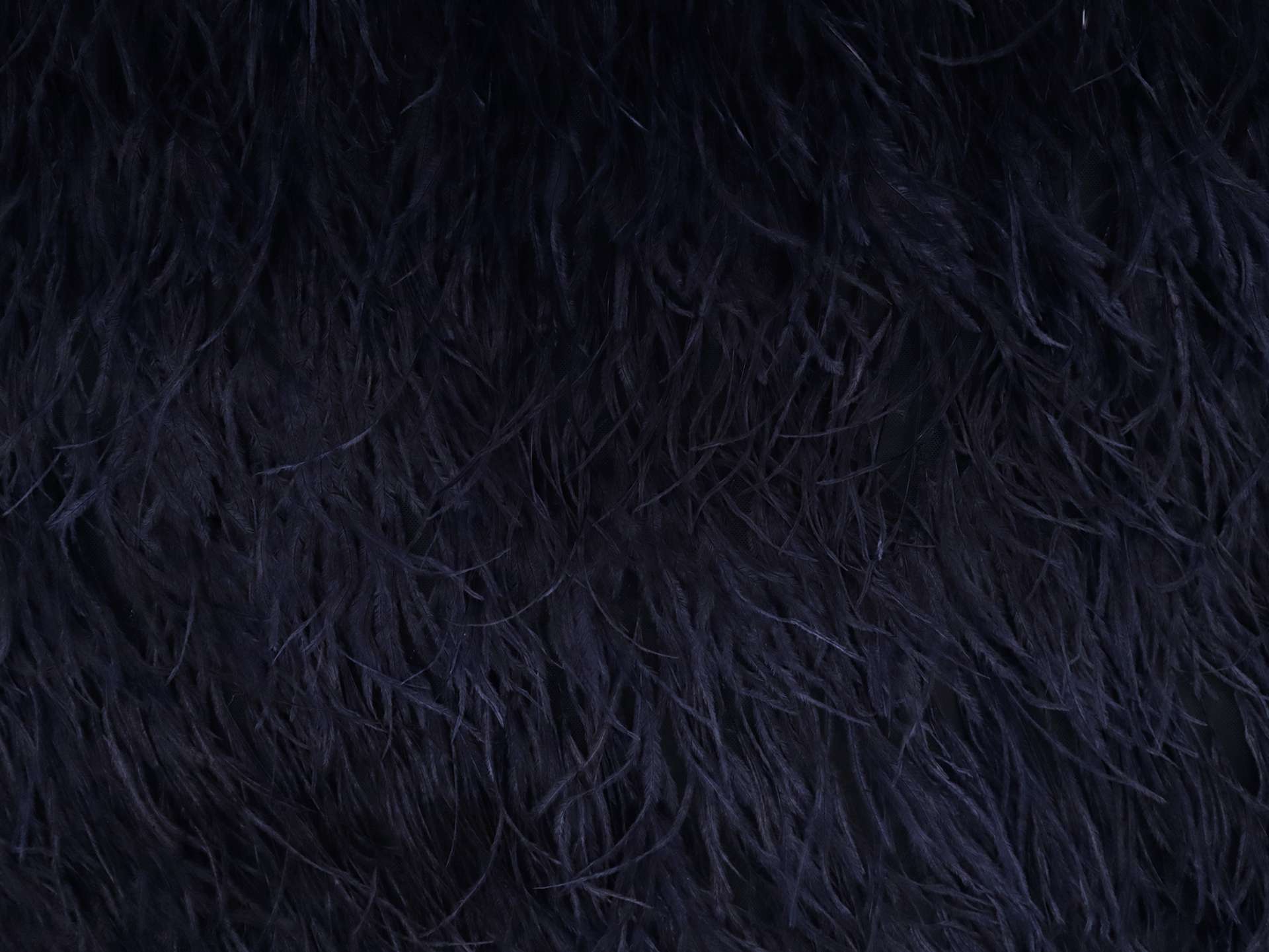 Ostrich Feather Trimmed Illusion in Navy