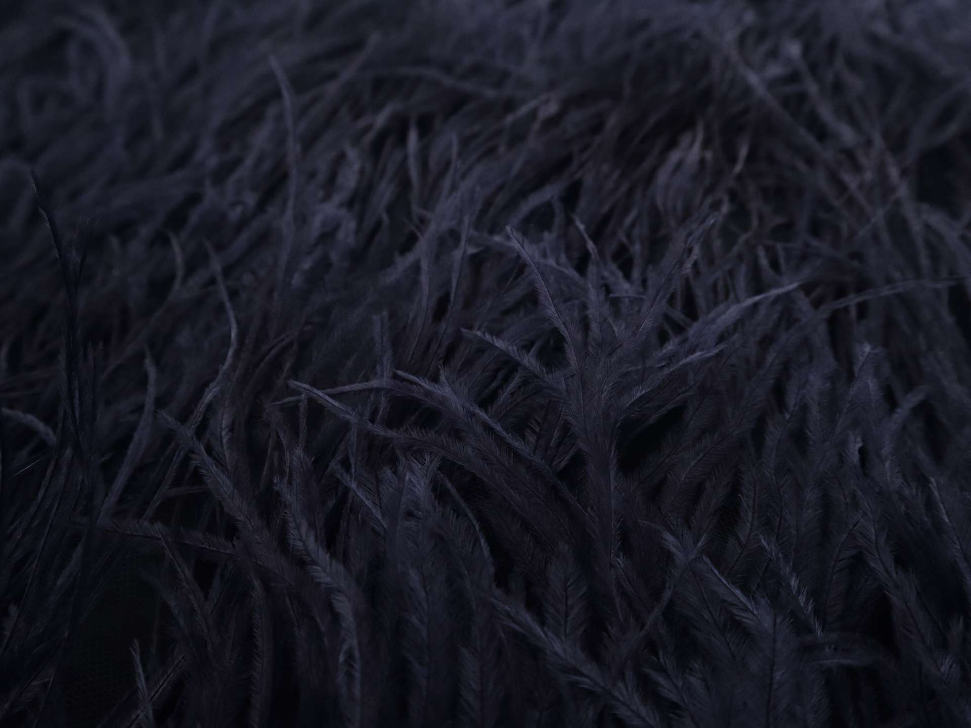 Ostrich Feather Trimmed Illusion in Navy