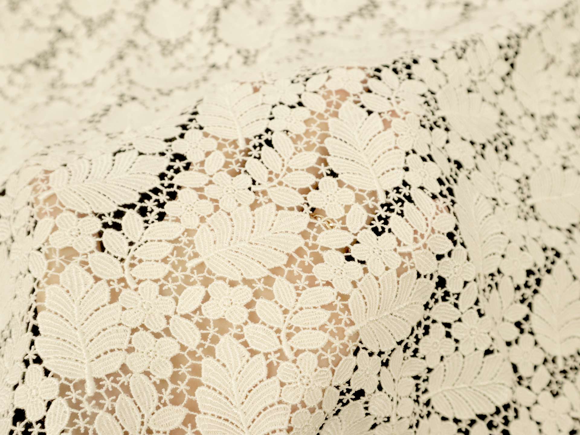 Guipure Lace with Botanical Motif in Ivory