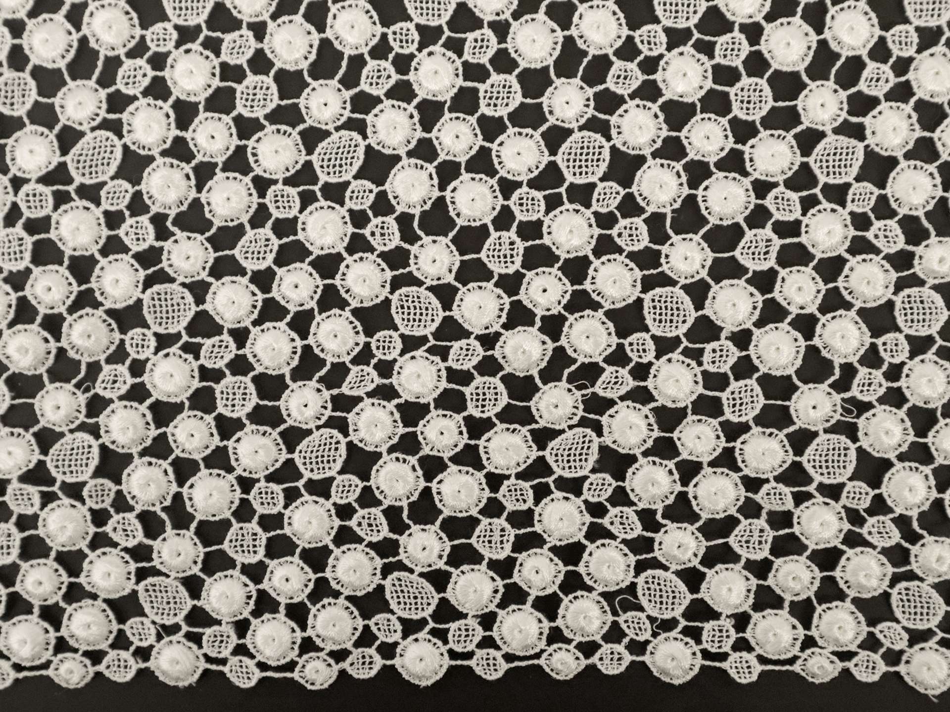 Guipure Lace with Dot Pattern in White