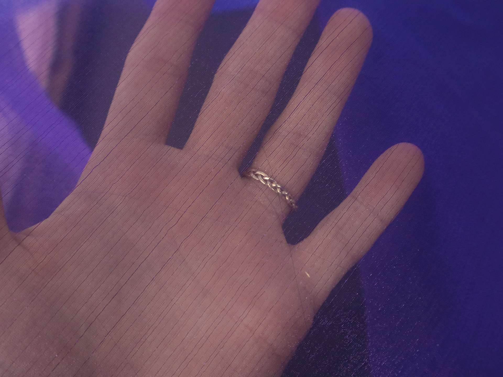 Sparkle Sheer Organza in Purple