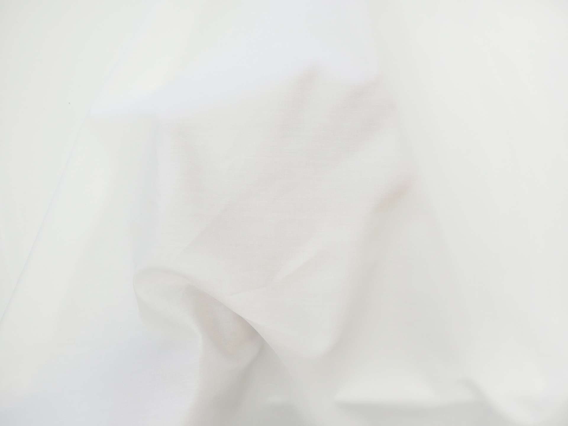 Japanese Cotton Broadcloth in Off White