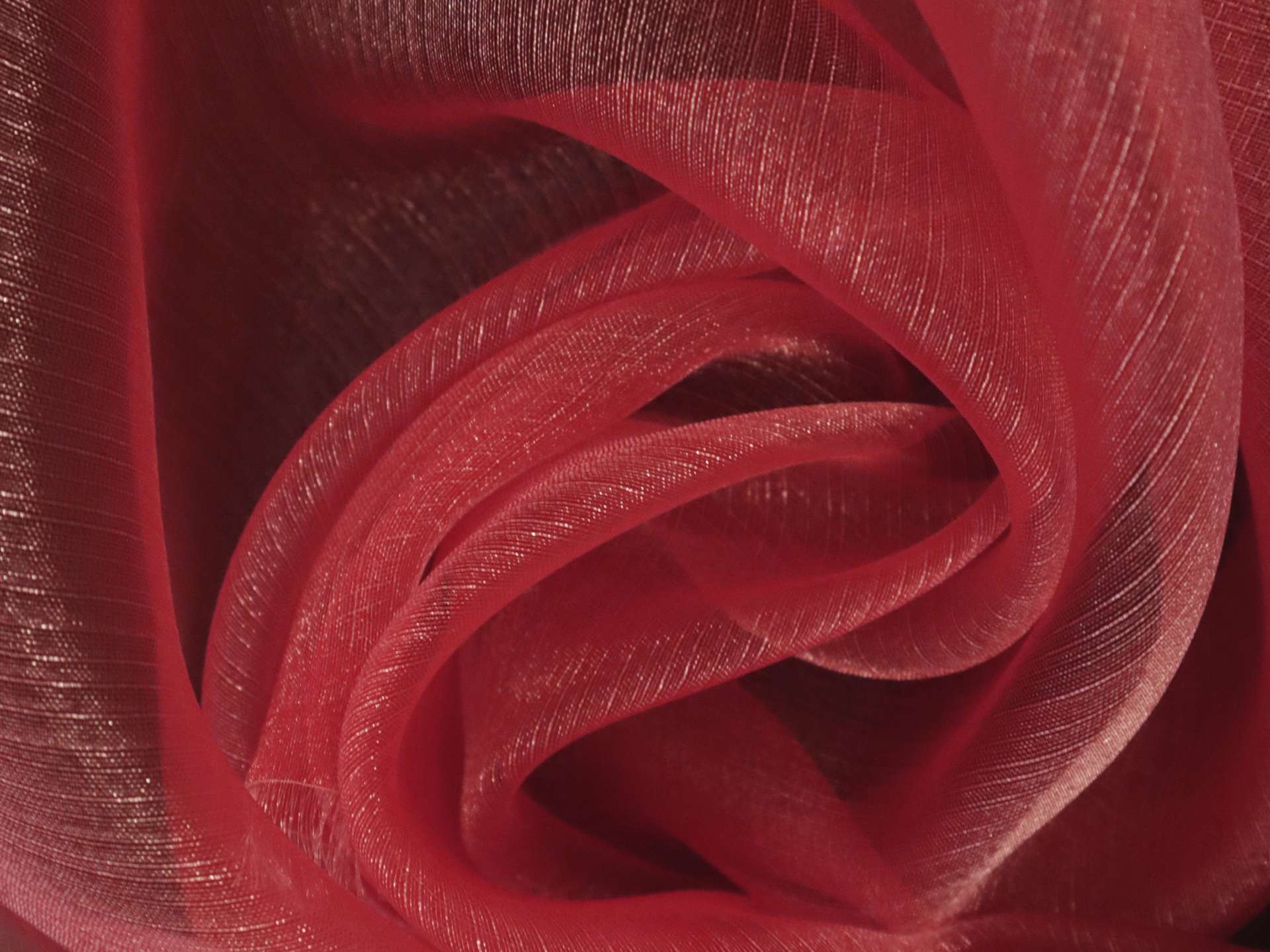 Sparkle Sheer Organza in Red