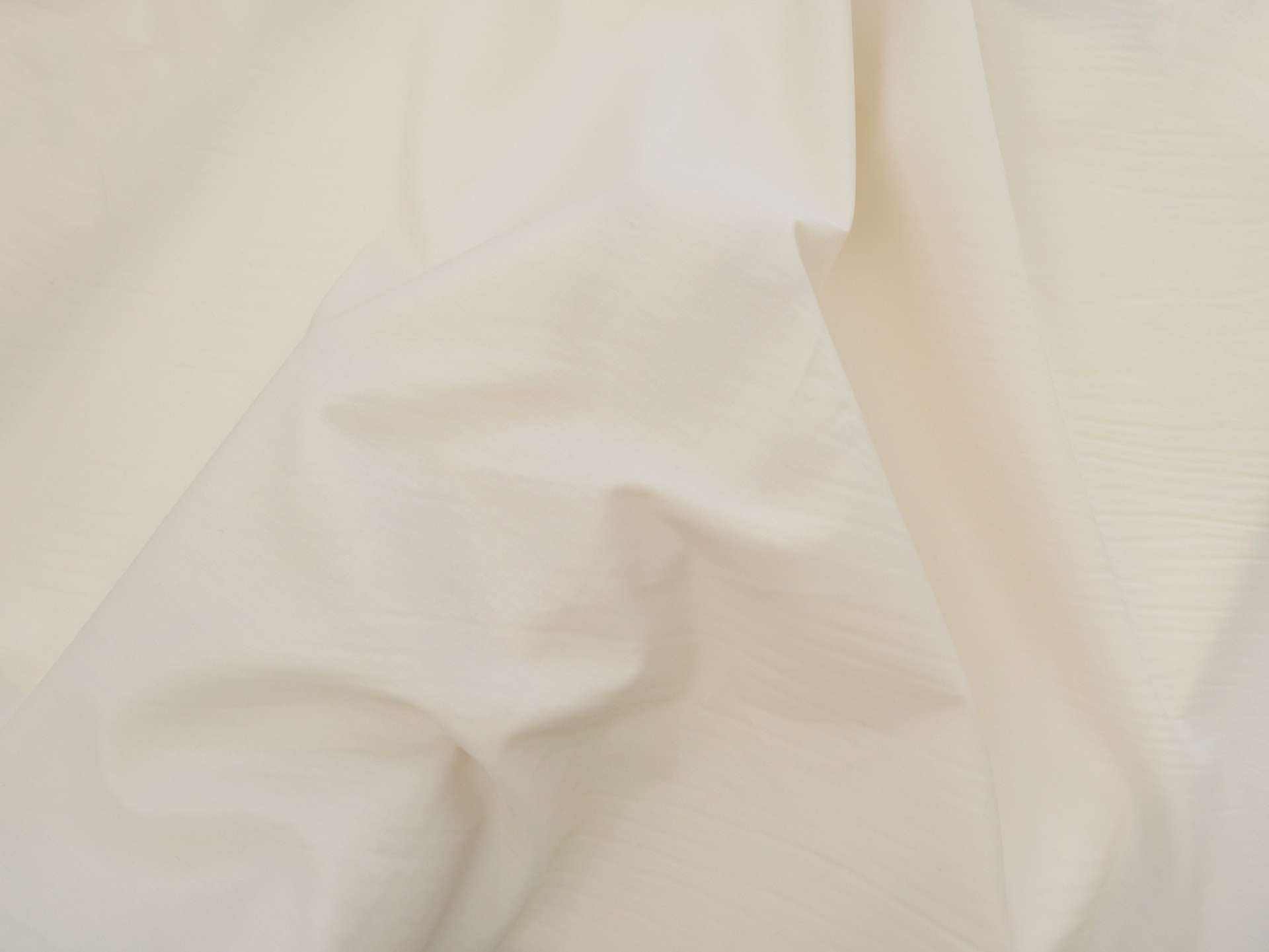 Japanese Cotton Broadcloth in Eggshell 