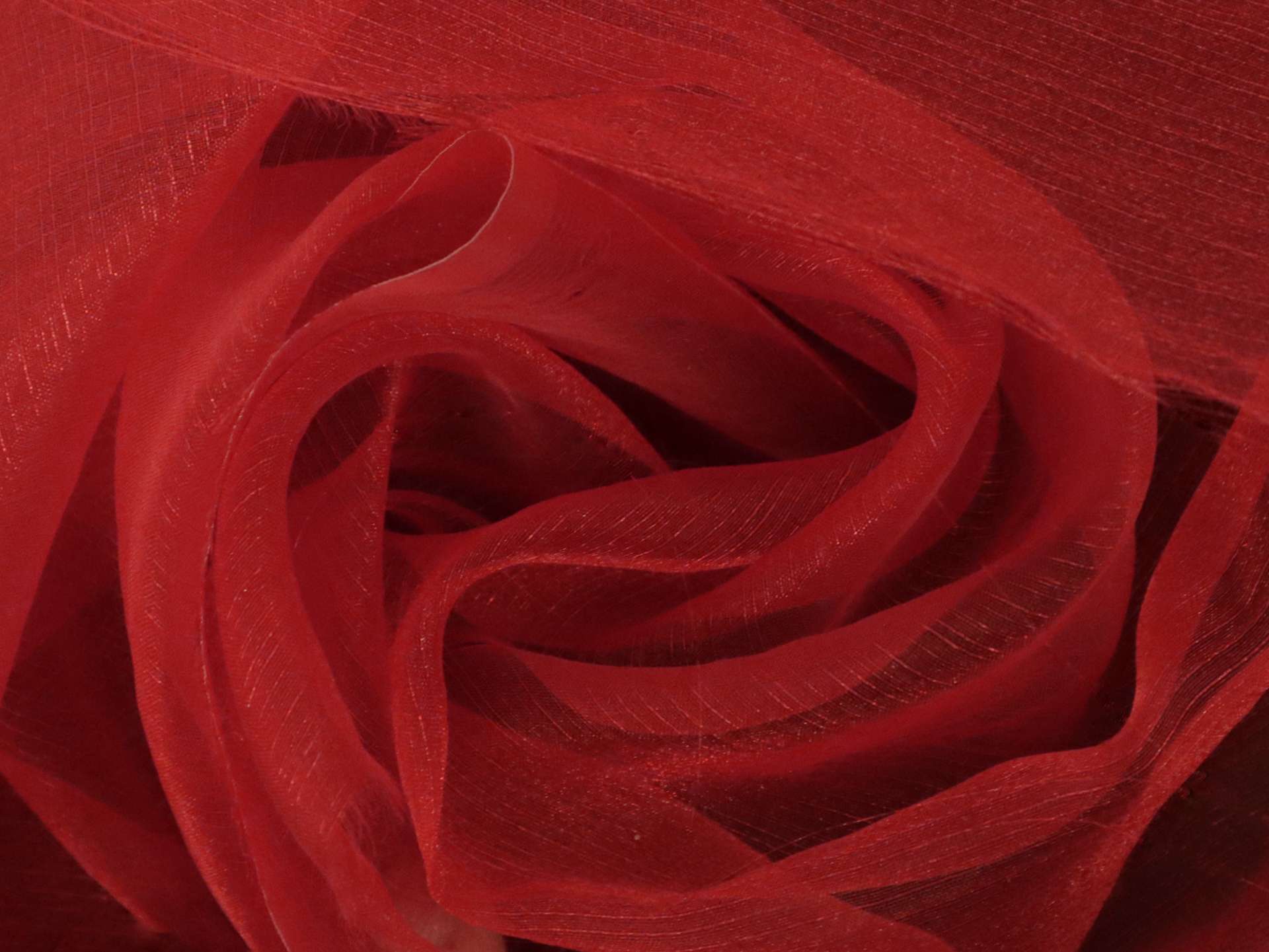 Sparkle Sheer Organza in Cherry Red