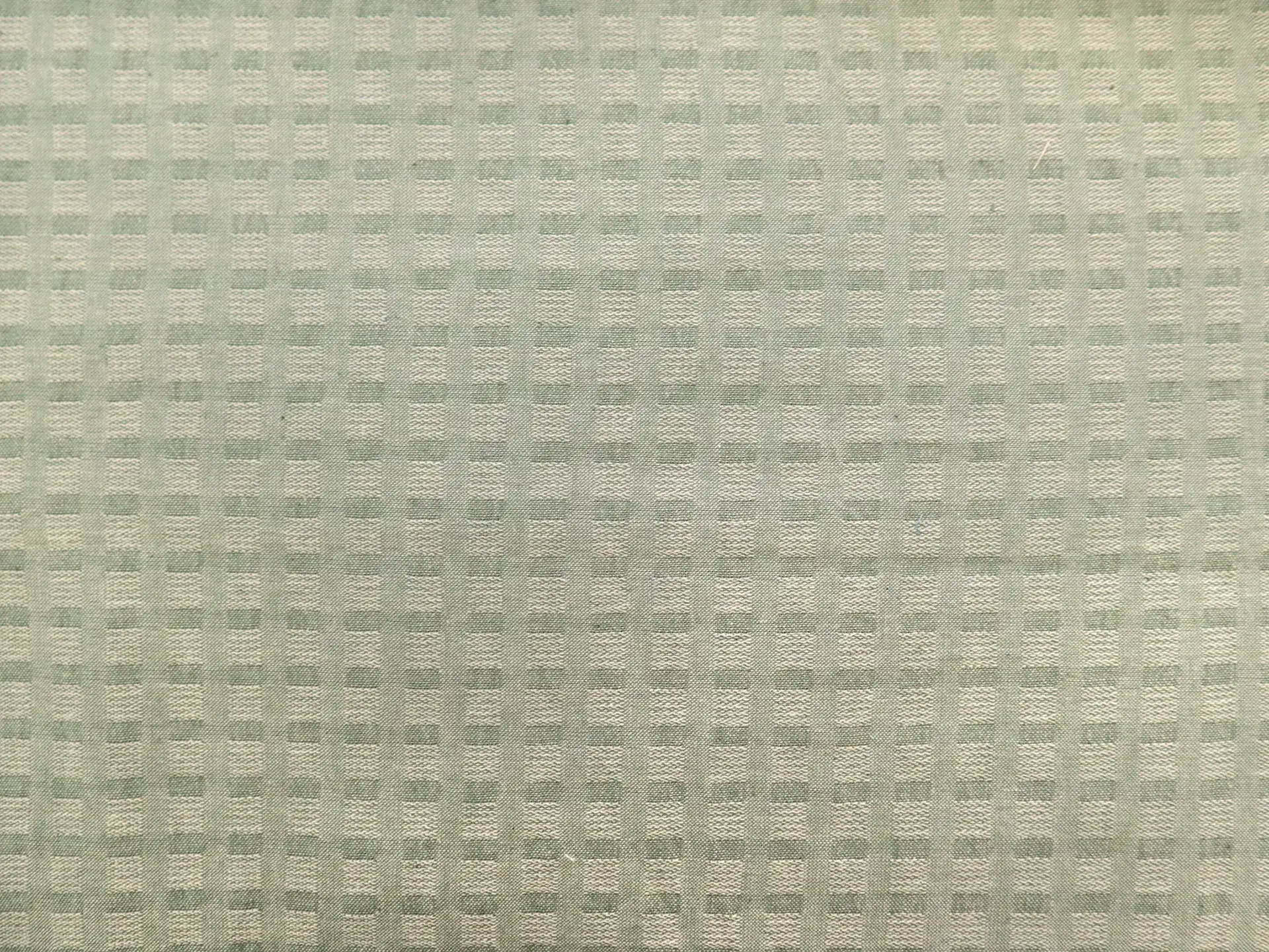 Woven Cotton Novelty Check in Sage