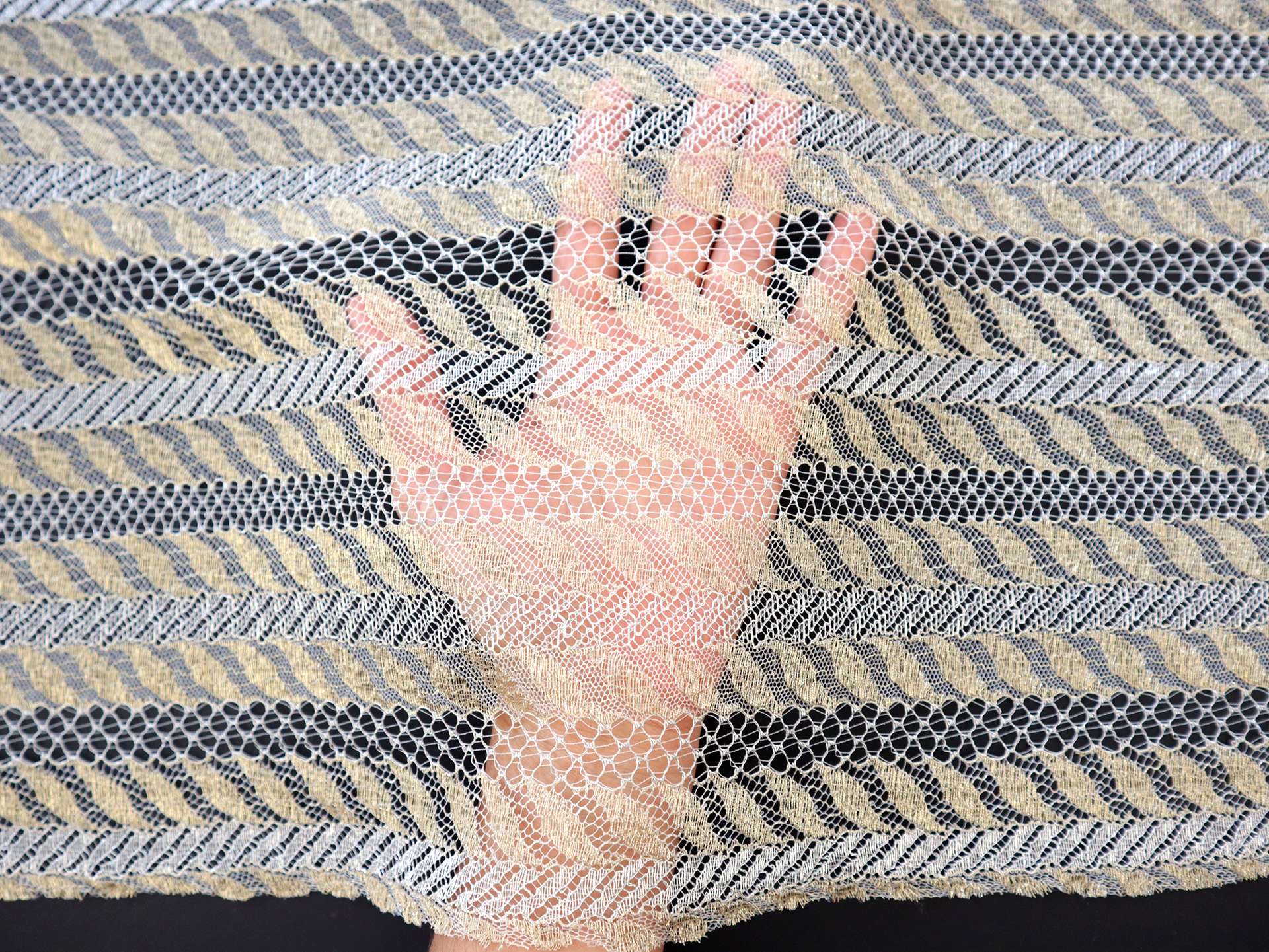 Metallic Striped Lace in Gold and Silver
