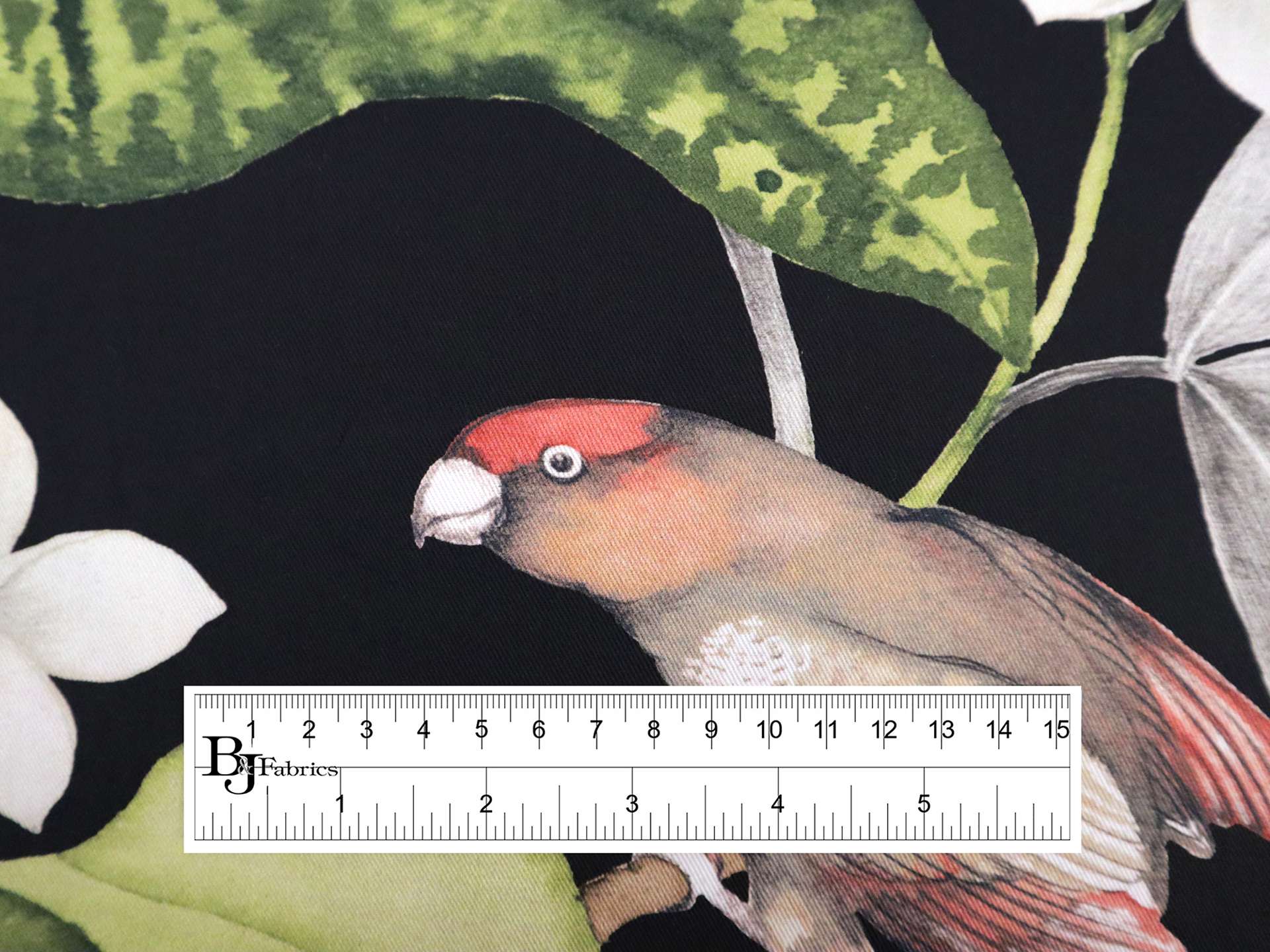 Cotton Twill with Conure Parrots Print in Onyx