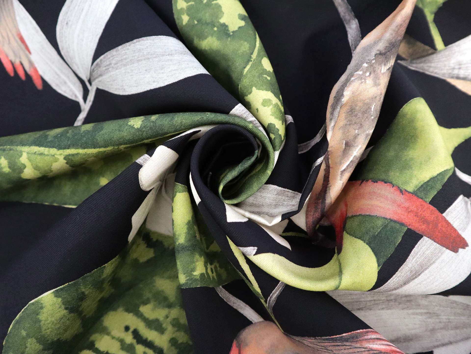 Cotton Twill with Conure Parrots Print in Onyx