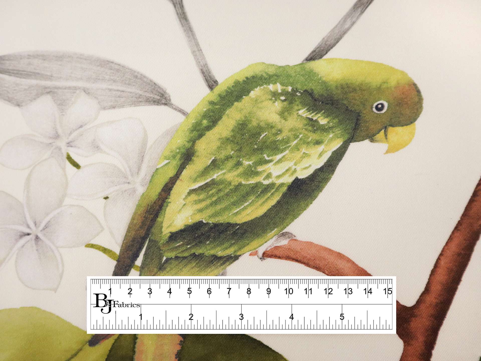 Cotton Twill with Conure Parrots Print