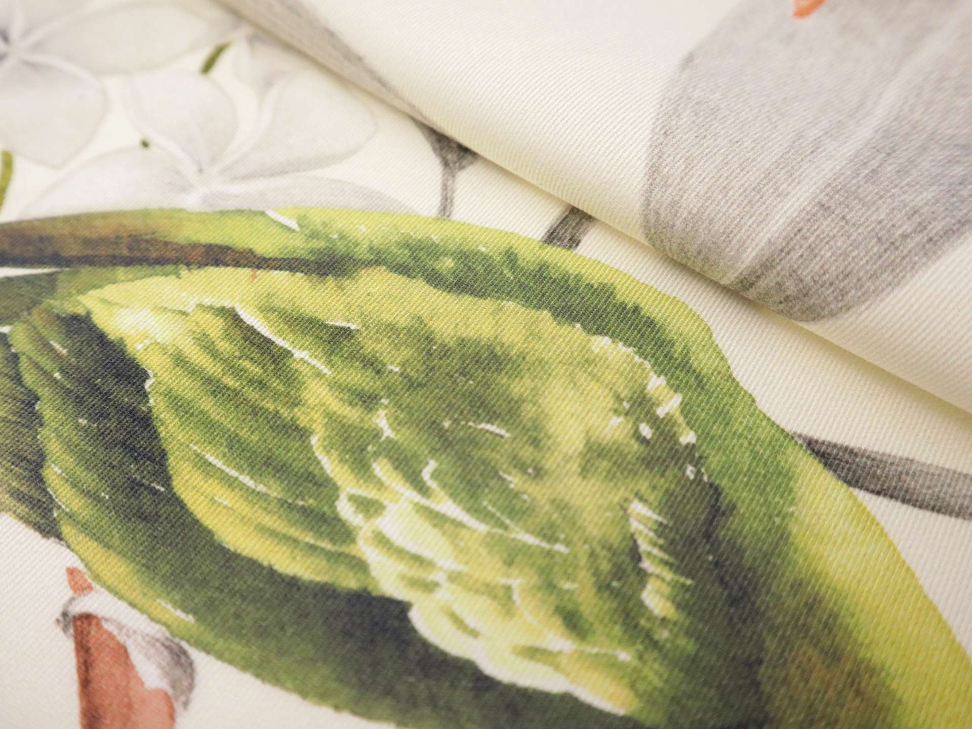 Cotton Twill with Conure Parrots Print