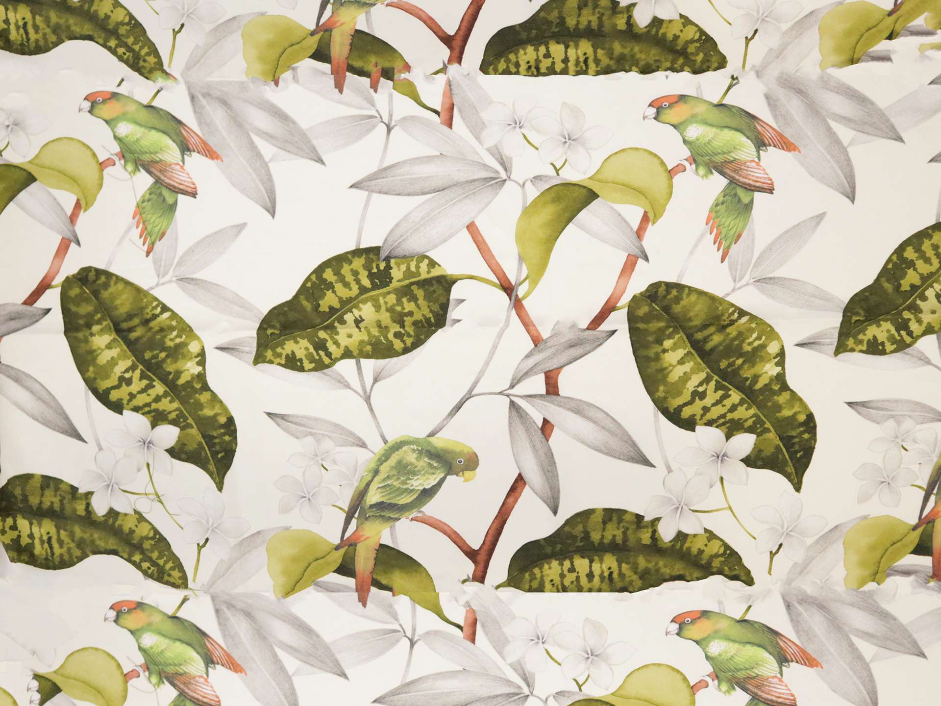 Cotton Twill with Conure Parrots Print