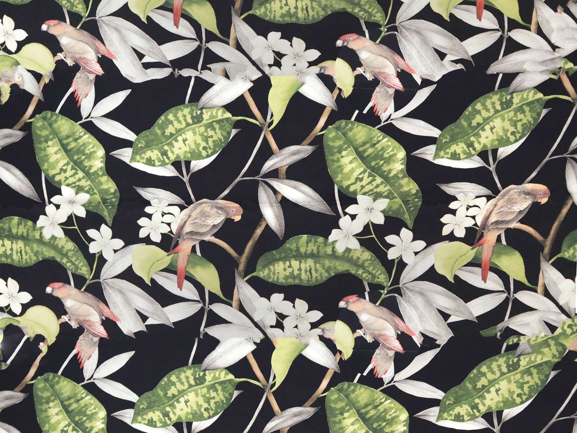 Cotton Twill with Conure Parrots Print in Onyx