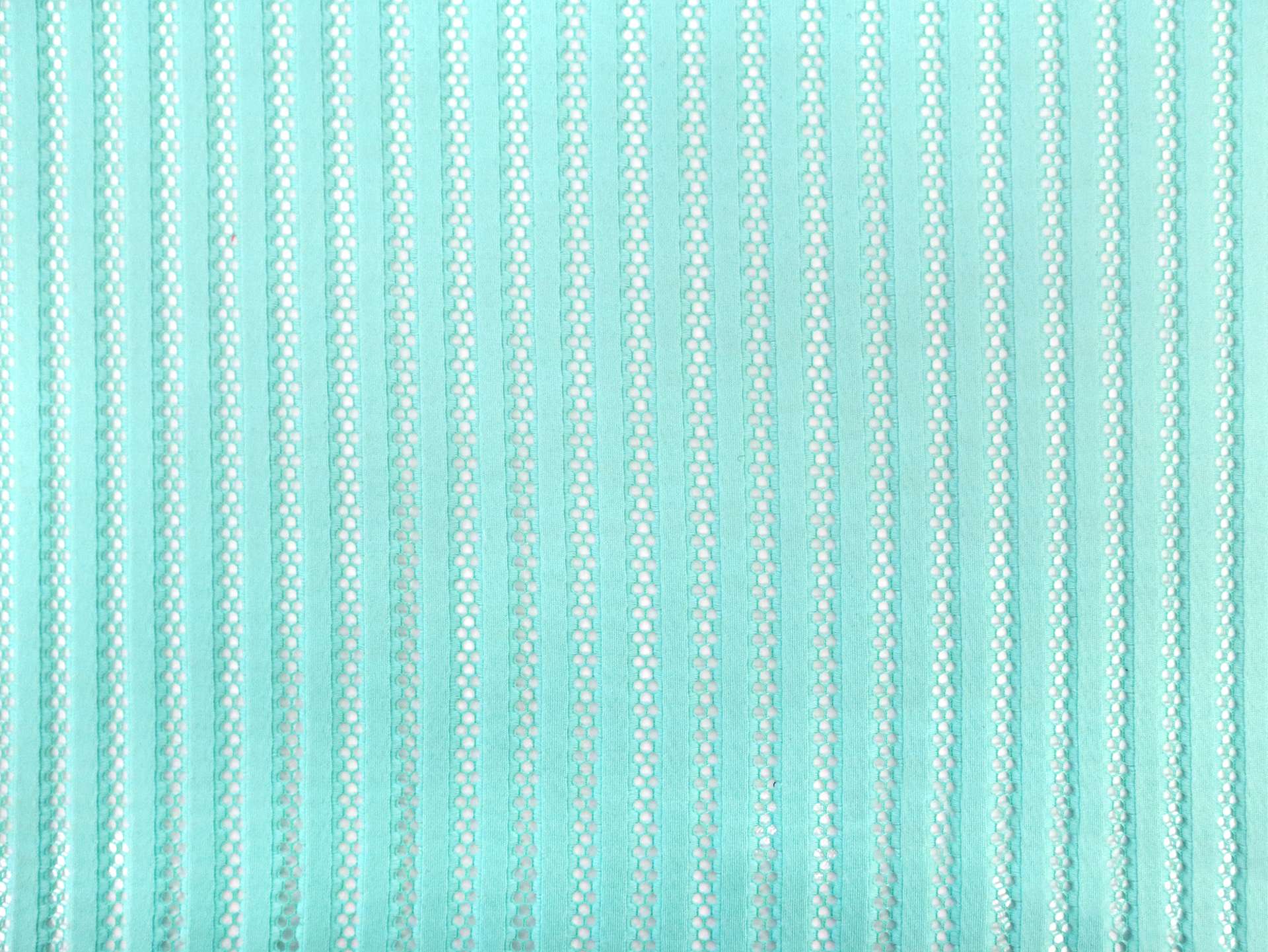 Novelty Striped Net in Mint